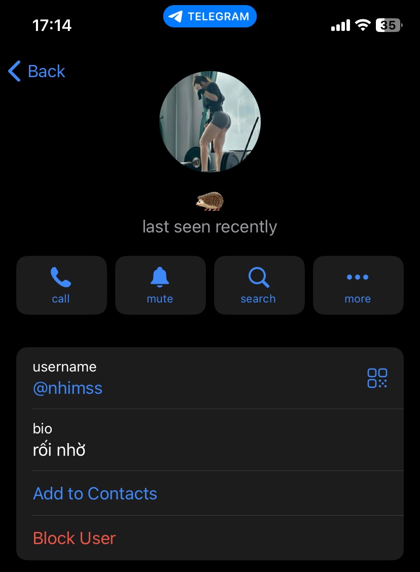 331561-47e32726cdde.jpeg