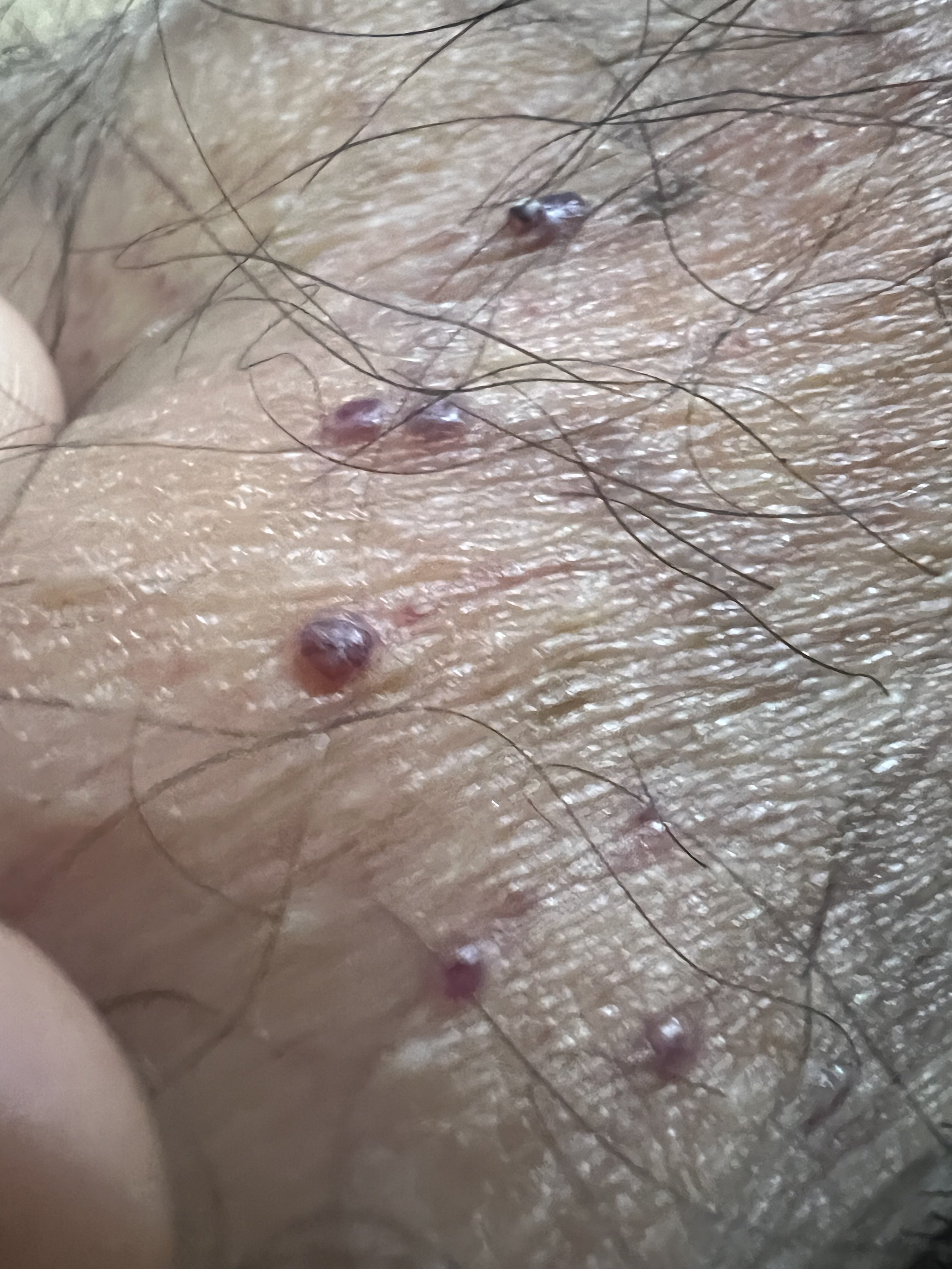 331722-116aeb611280.jpeg