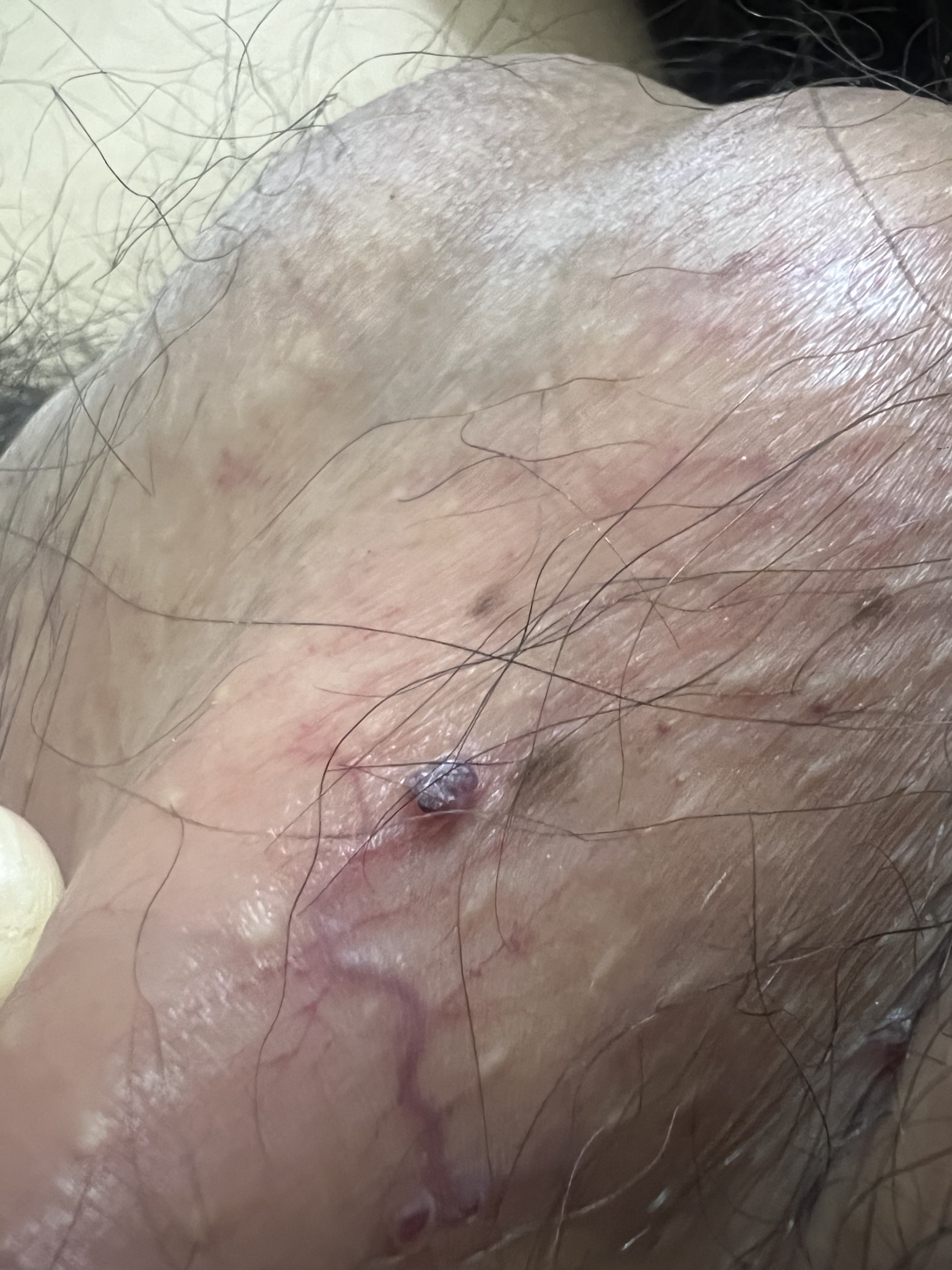 331726-9de0cf34ef90.jpeg