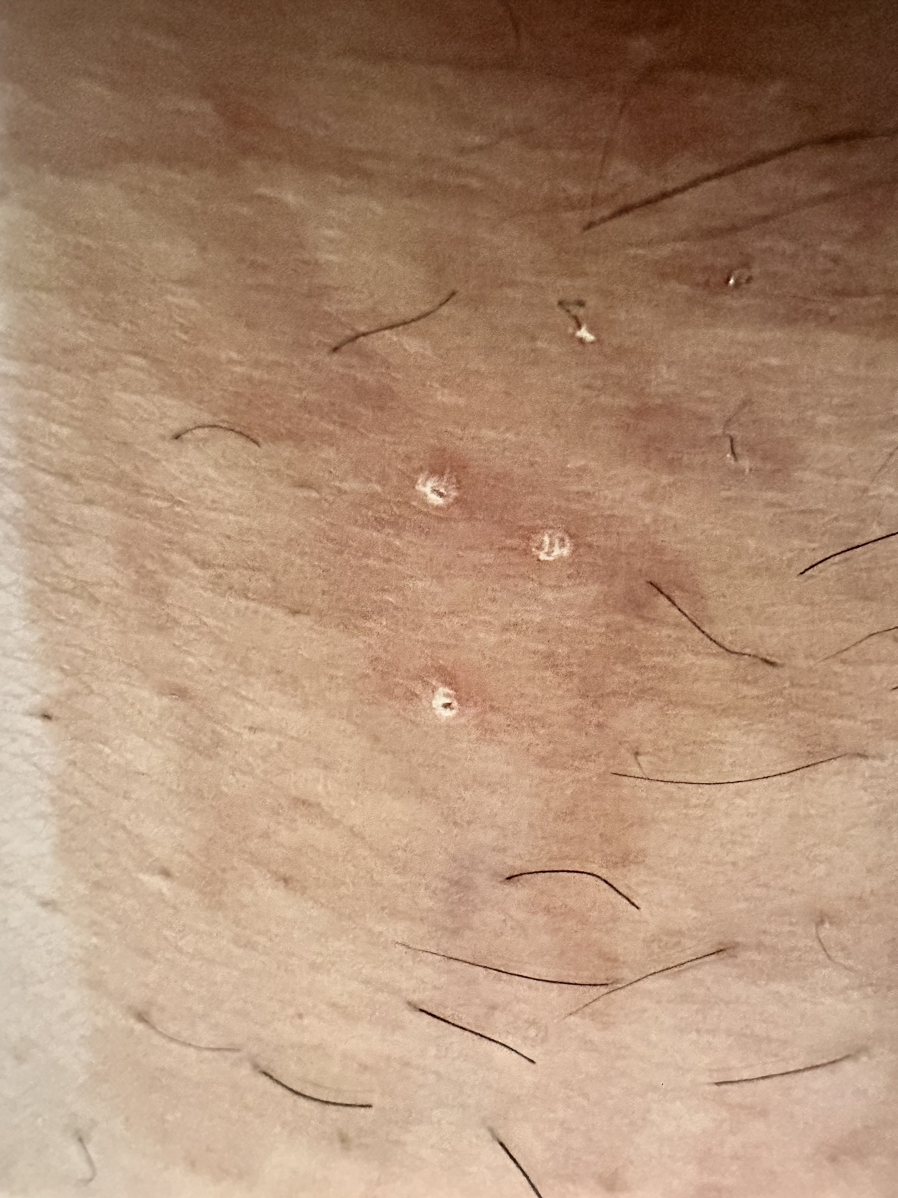 334810-d173fc91a285.jpeg