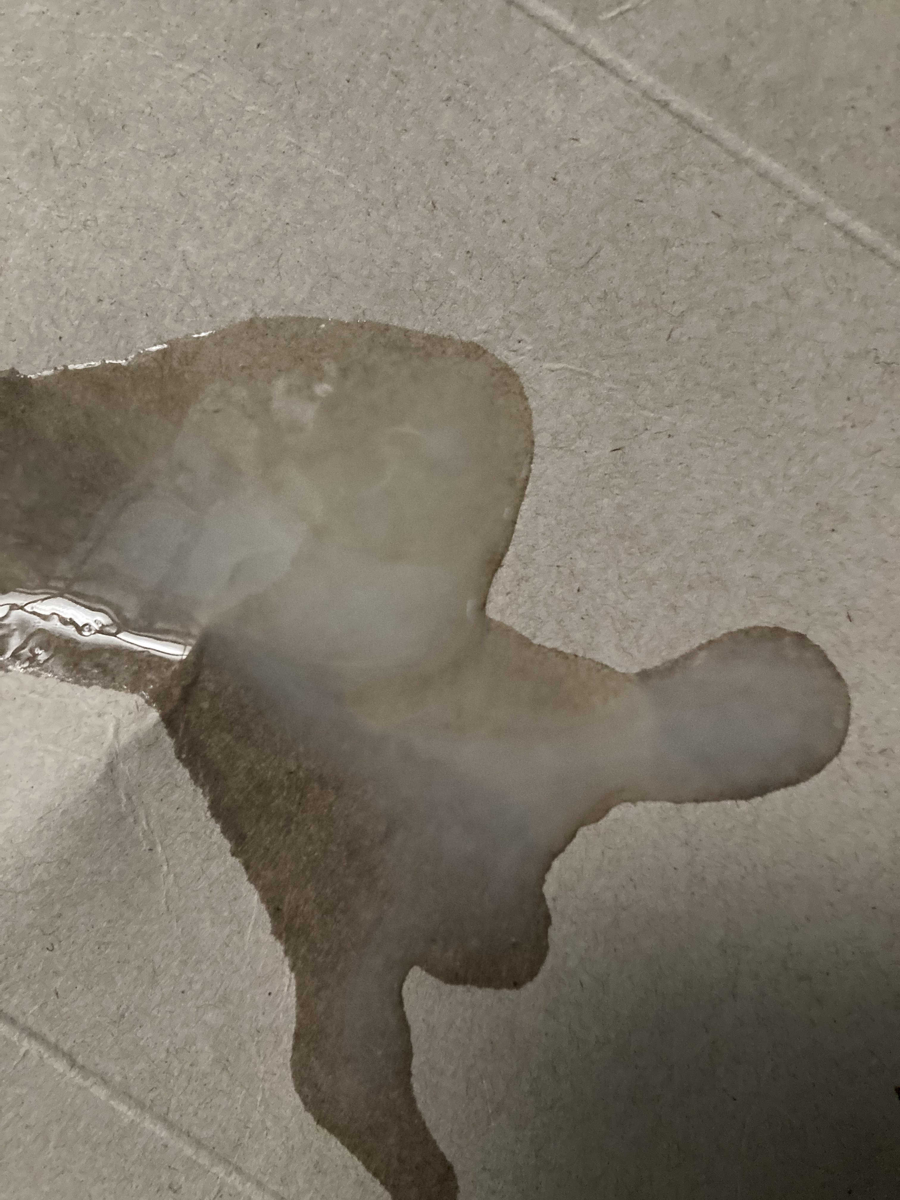 336299-9a92579cc875.jpeg