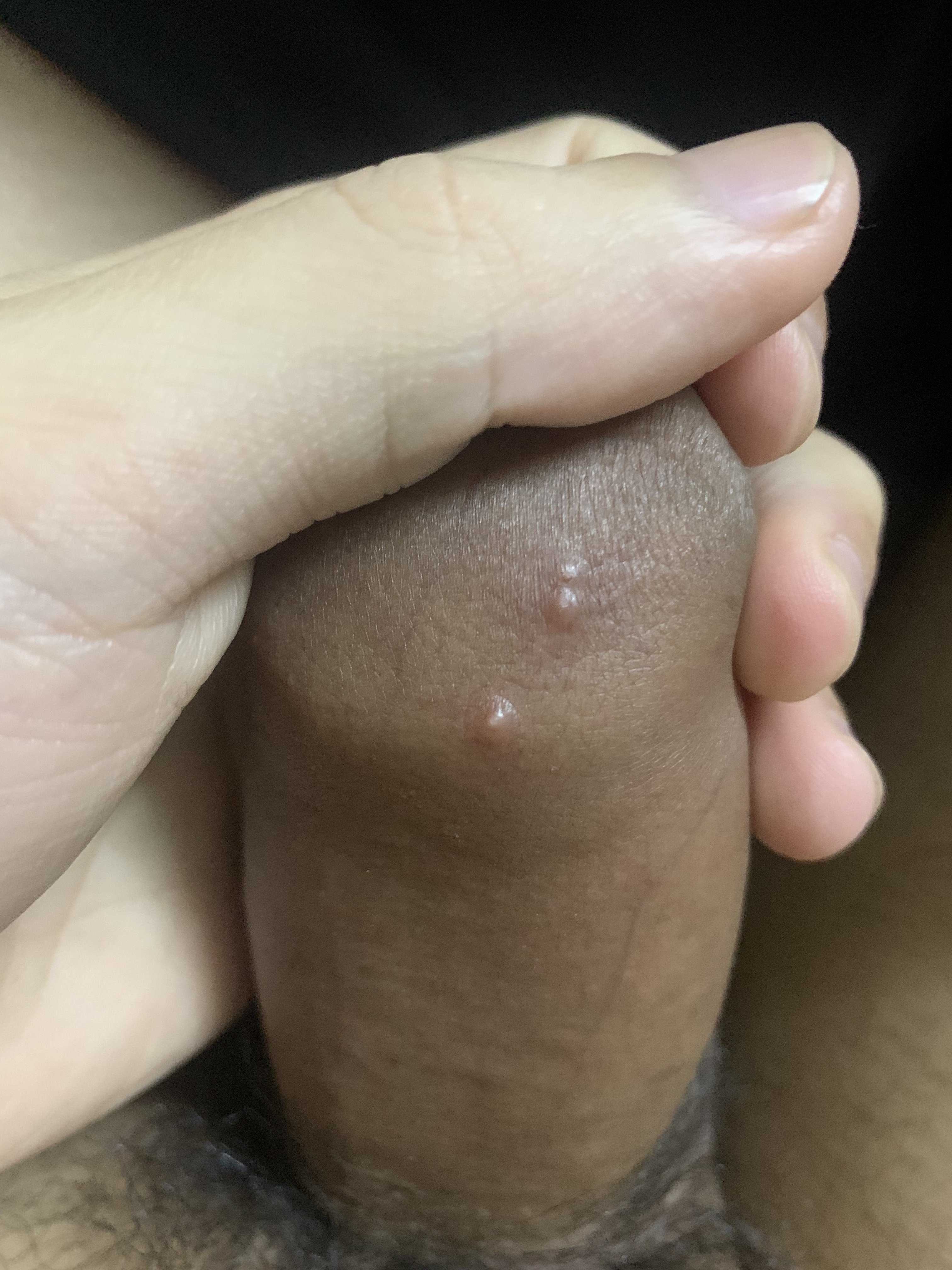 349049-412447de7498.jpeg