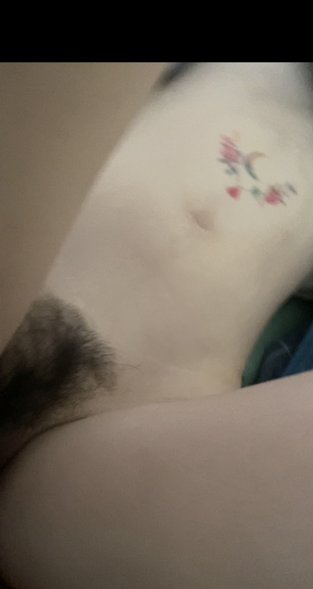 351286-f8d8c7c7689a.jpeg