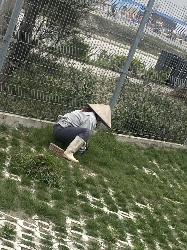 359292-a78821892dc6.jpeg