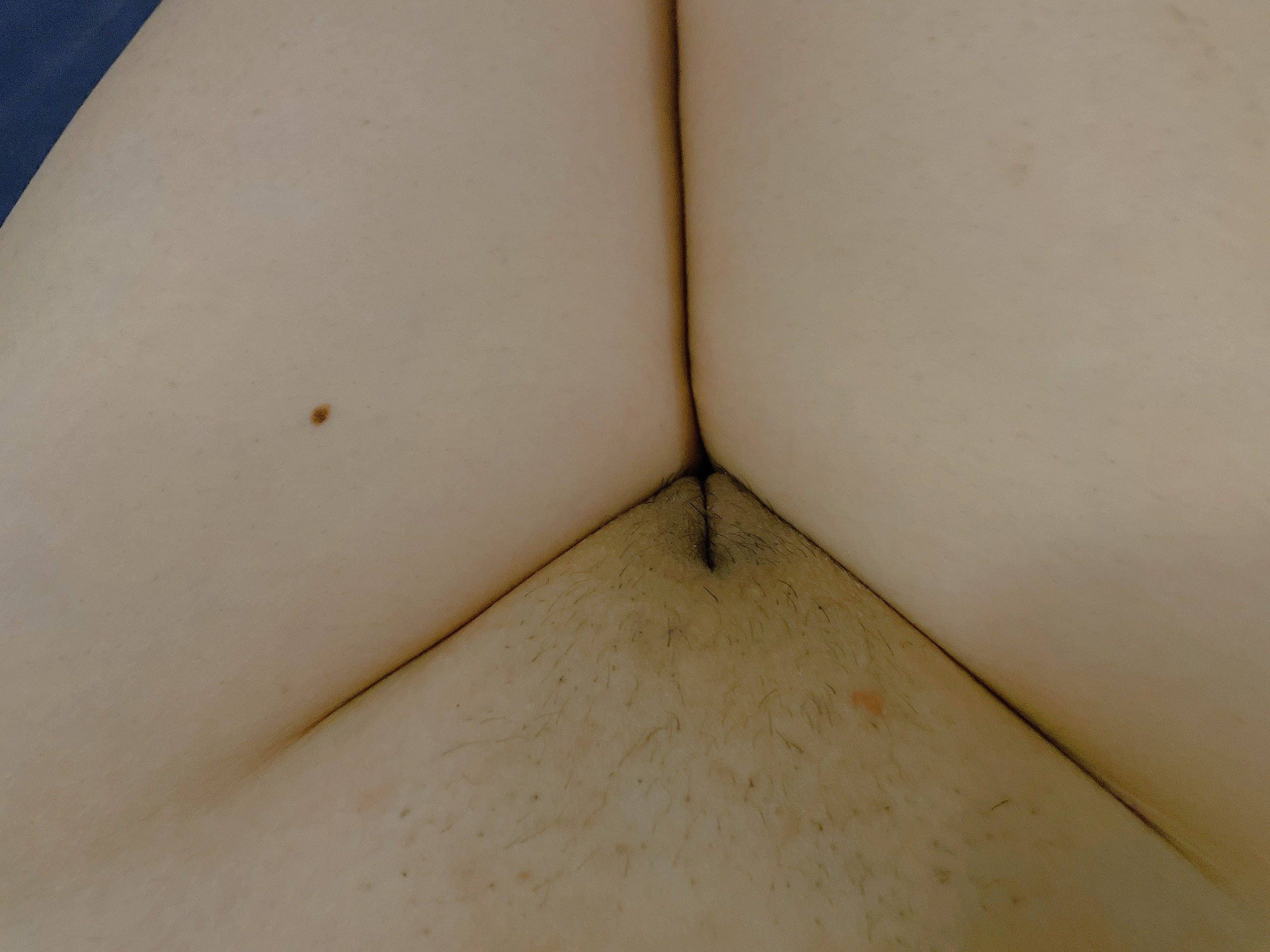 360166-3acbbeaa2031.jpeg
