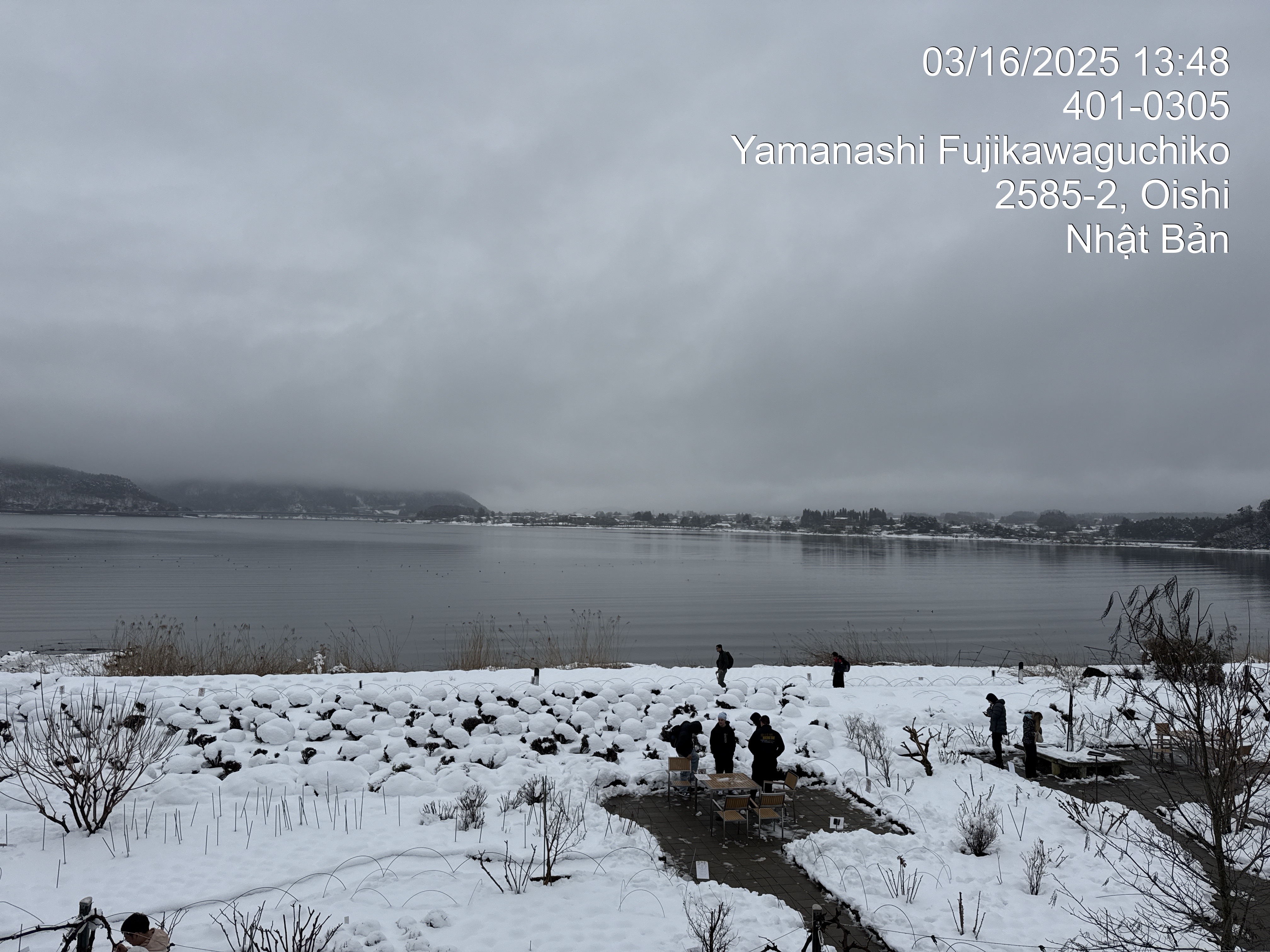360976-0a9fa986ad8e.jpeg