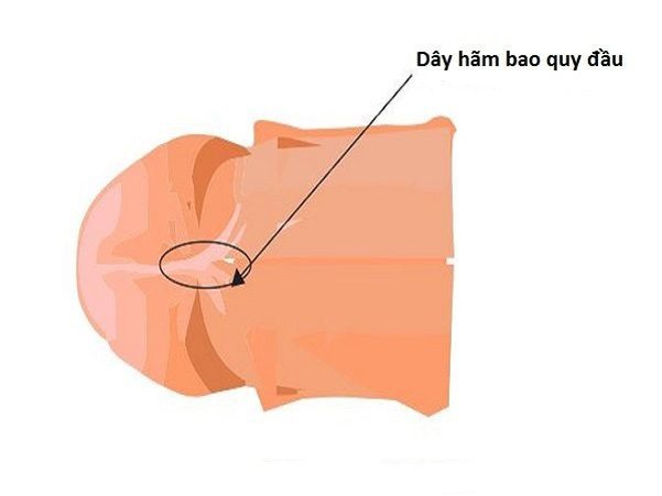364598-b6728be73cf9.jpeg