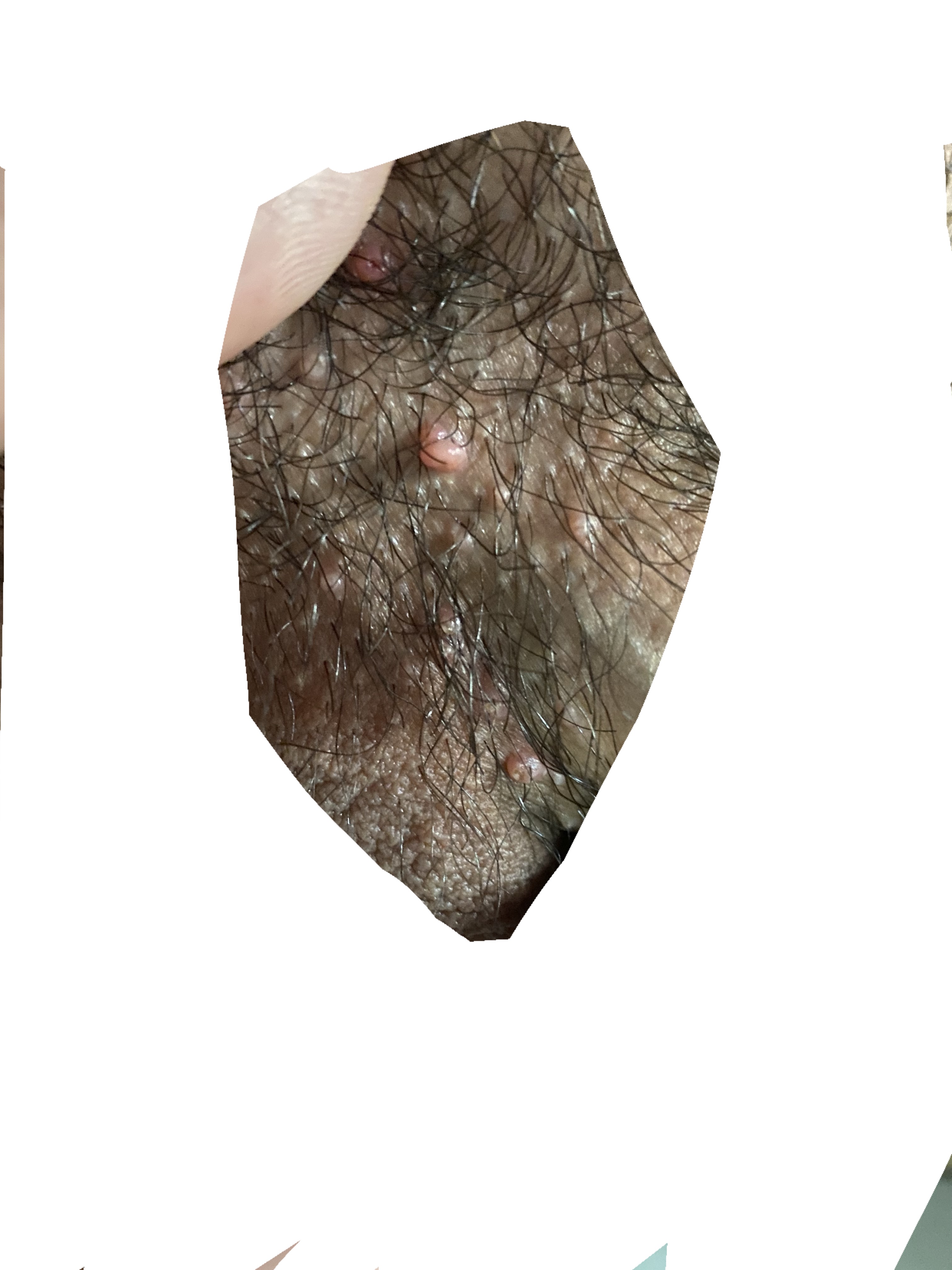 367173-328f1bf93d68.jpeg