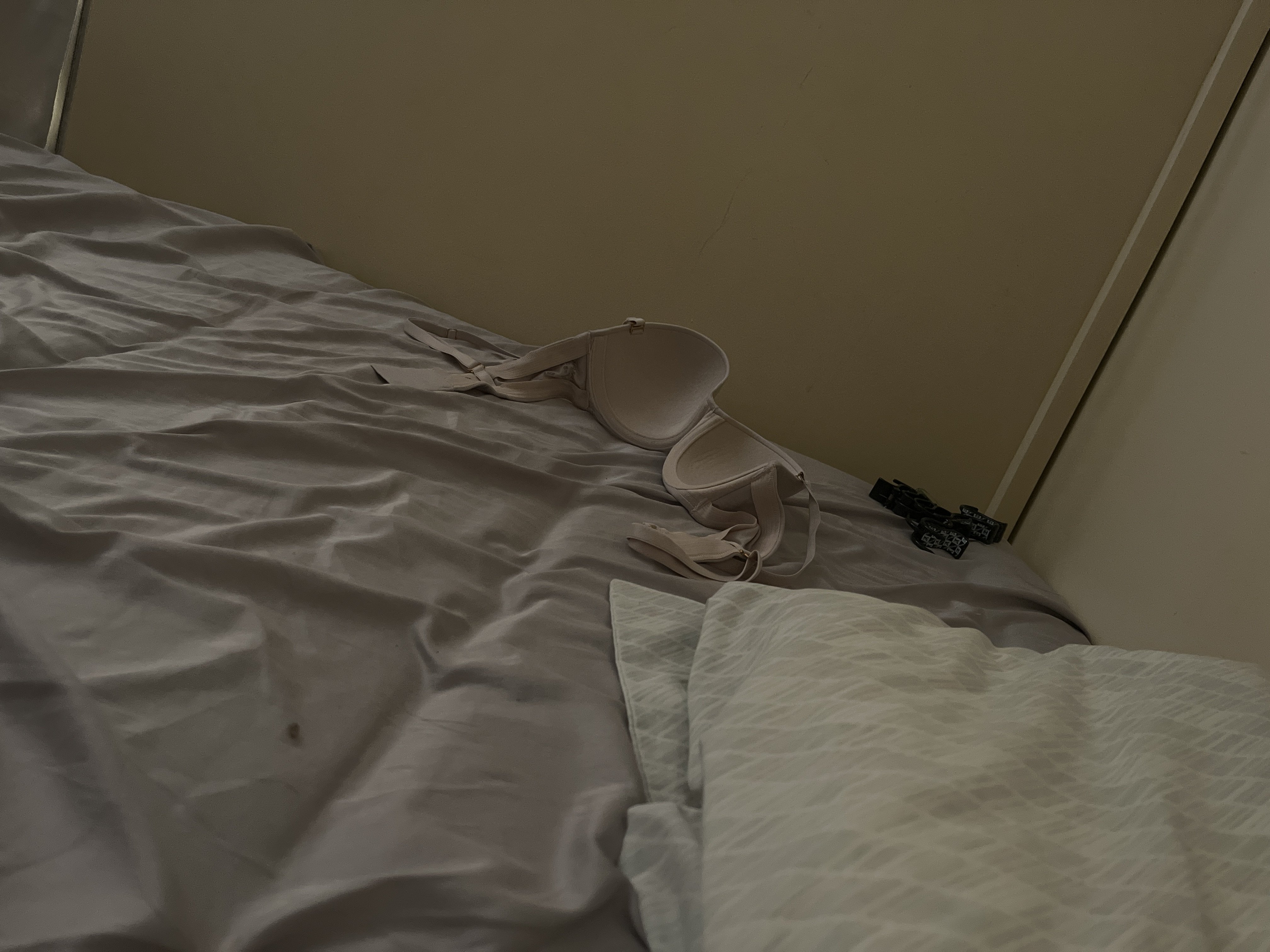 371134-8ebd50d8ca4d.jpg