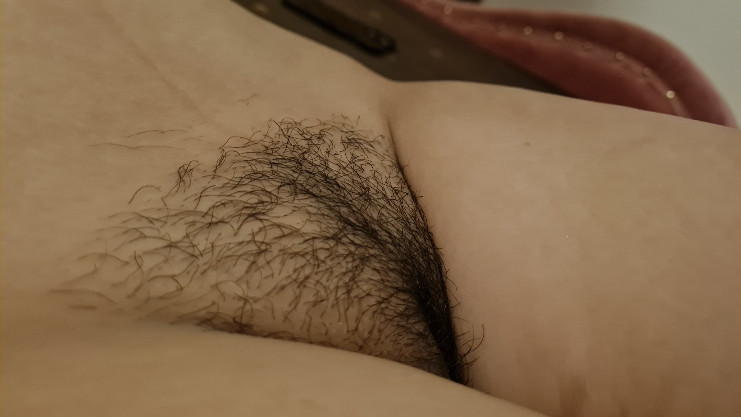 374733-b0eb71e358c1.jpg