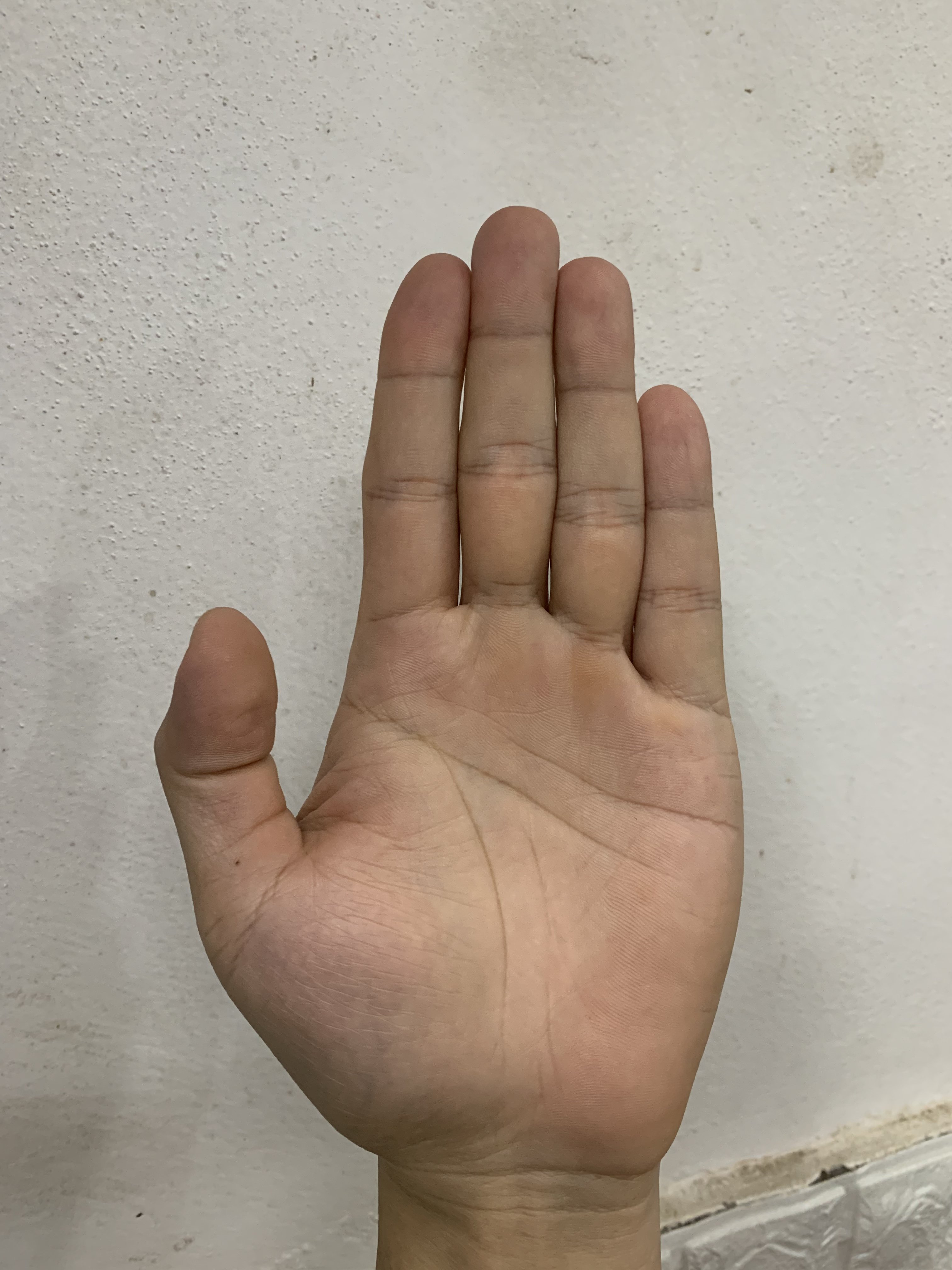 375997-9b1430f21c08.jpeg