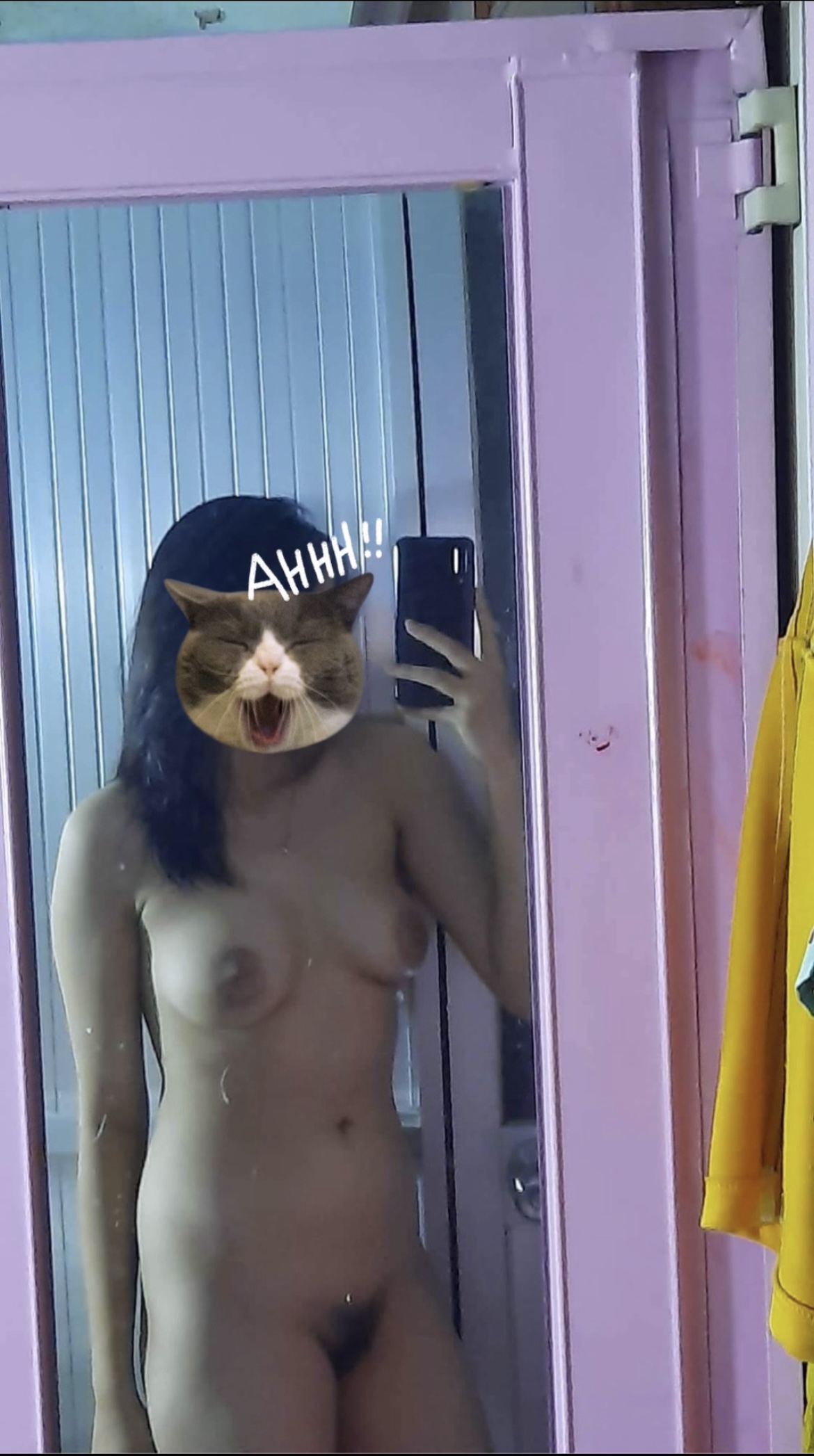 378560-aff662d6de33.jpeg