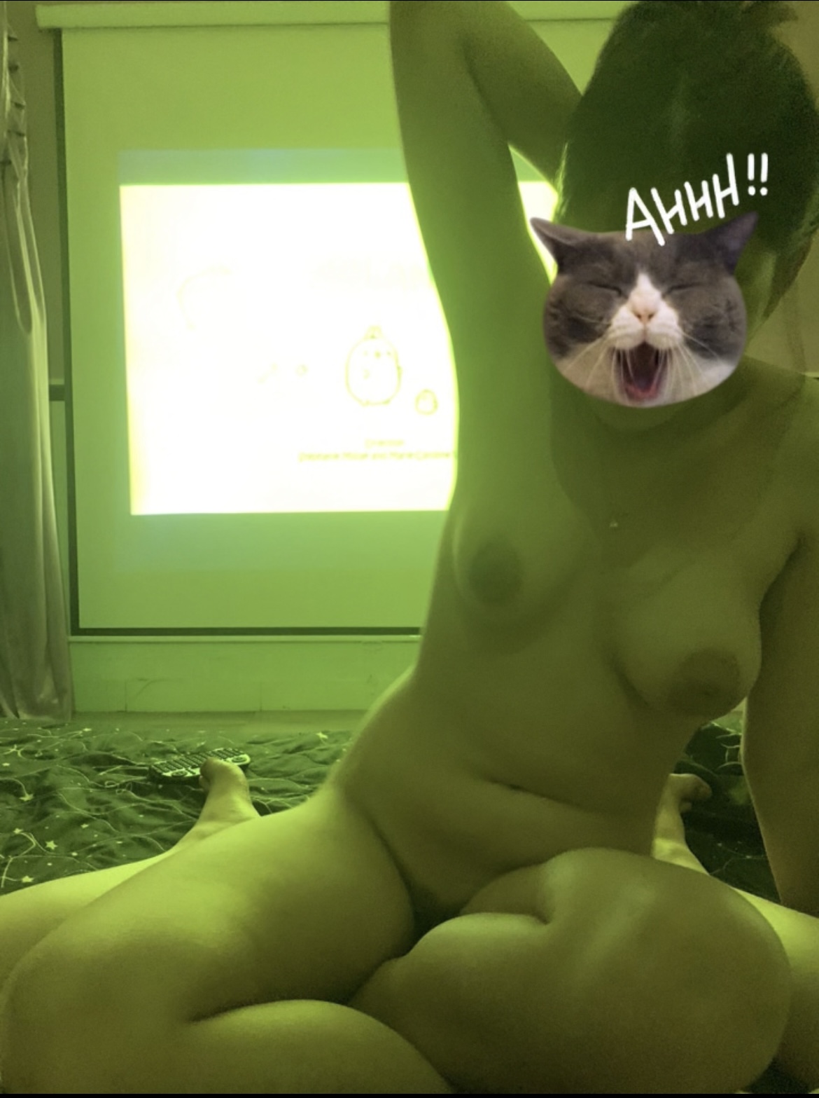 378687-43b795b07edf.jpeg