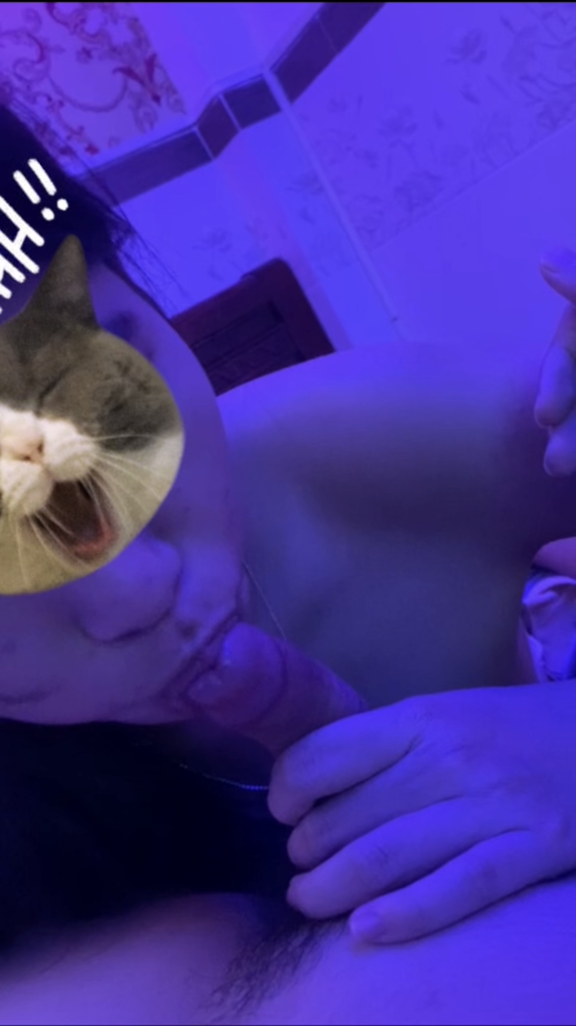378967-e1a56c01e5f6.jpeg