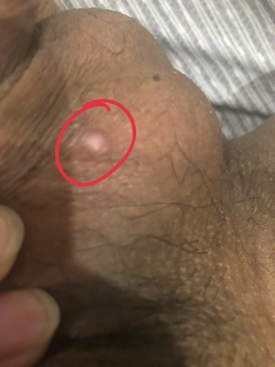 379322-ecec4717eb0d.jpeg