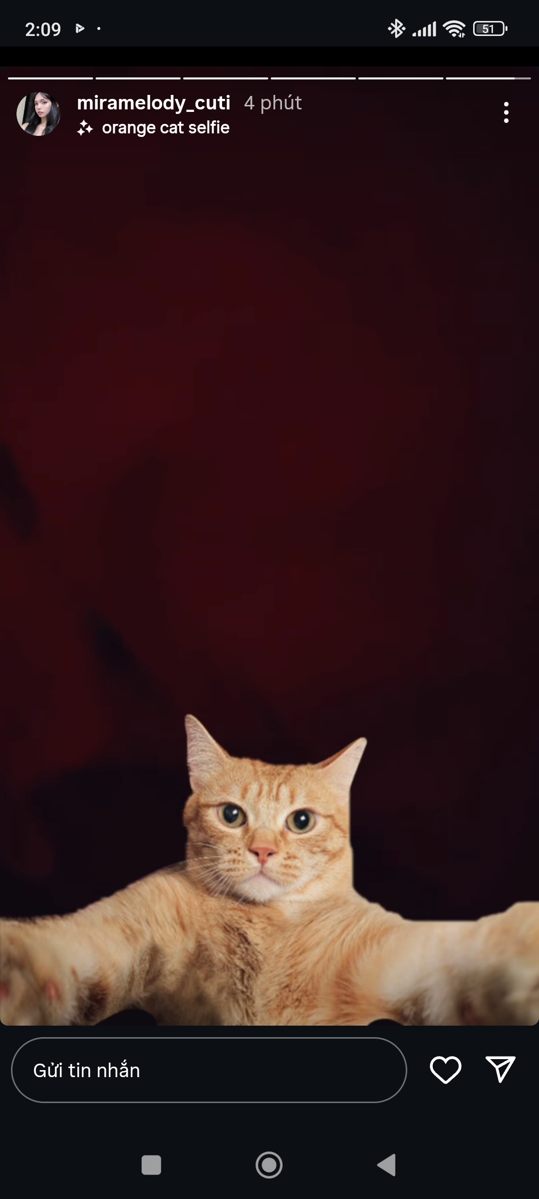 379456-50d5046a64fb.jpg