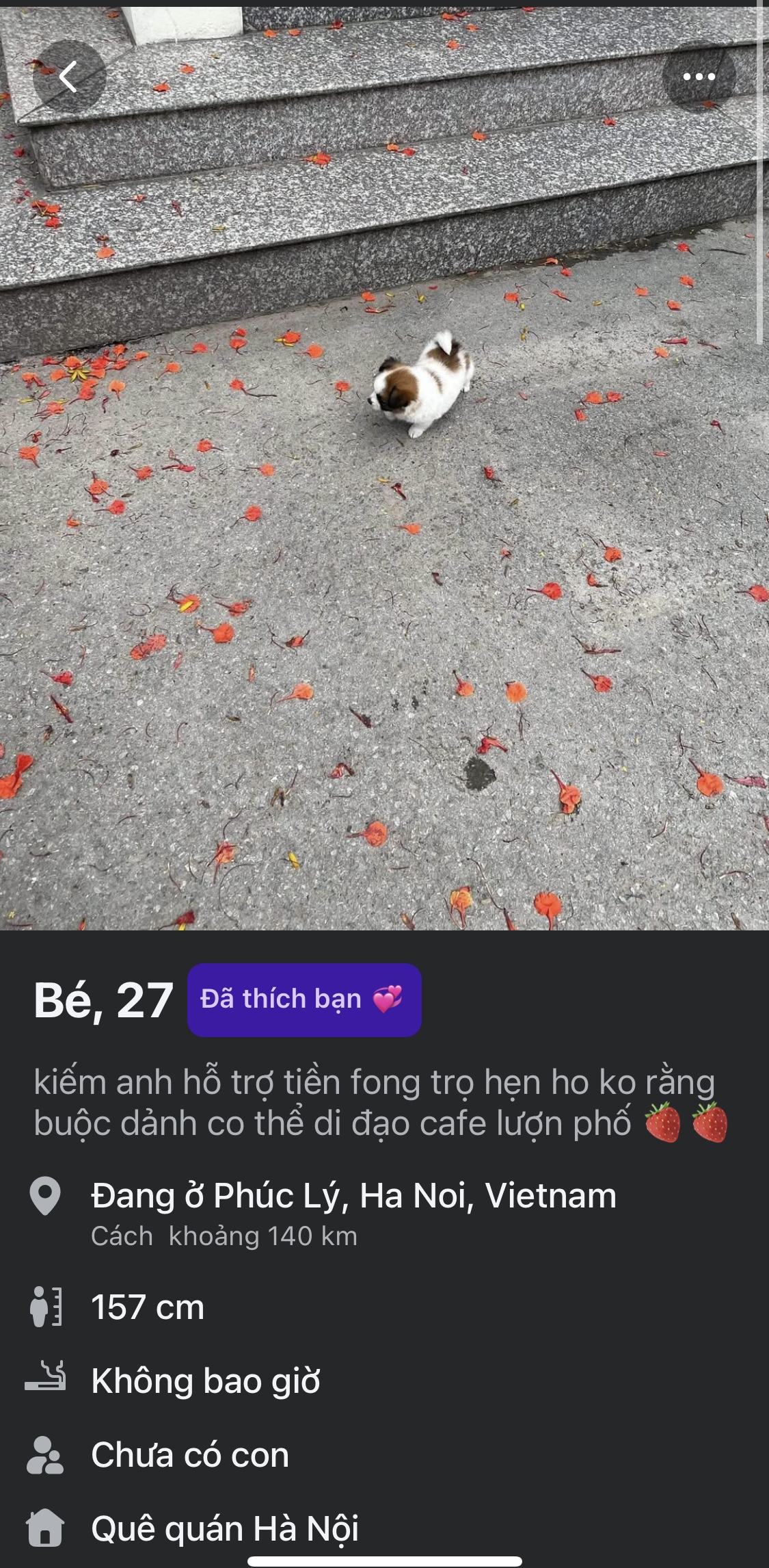 381080-ede158194e8c.jpeg