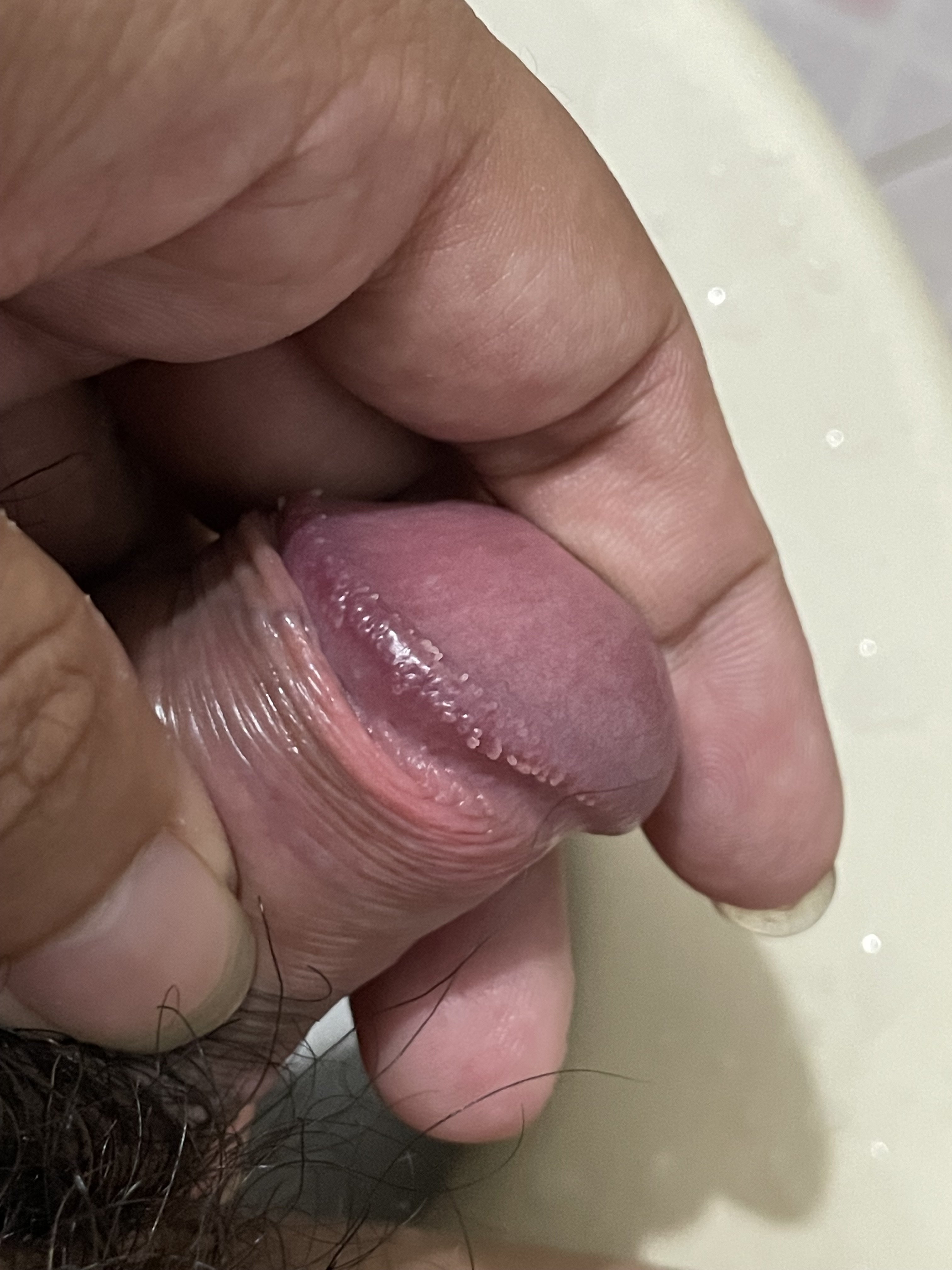 384102-5c473b0326e4.jpeg
