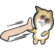 384512-3aca85661ad5.png