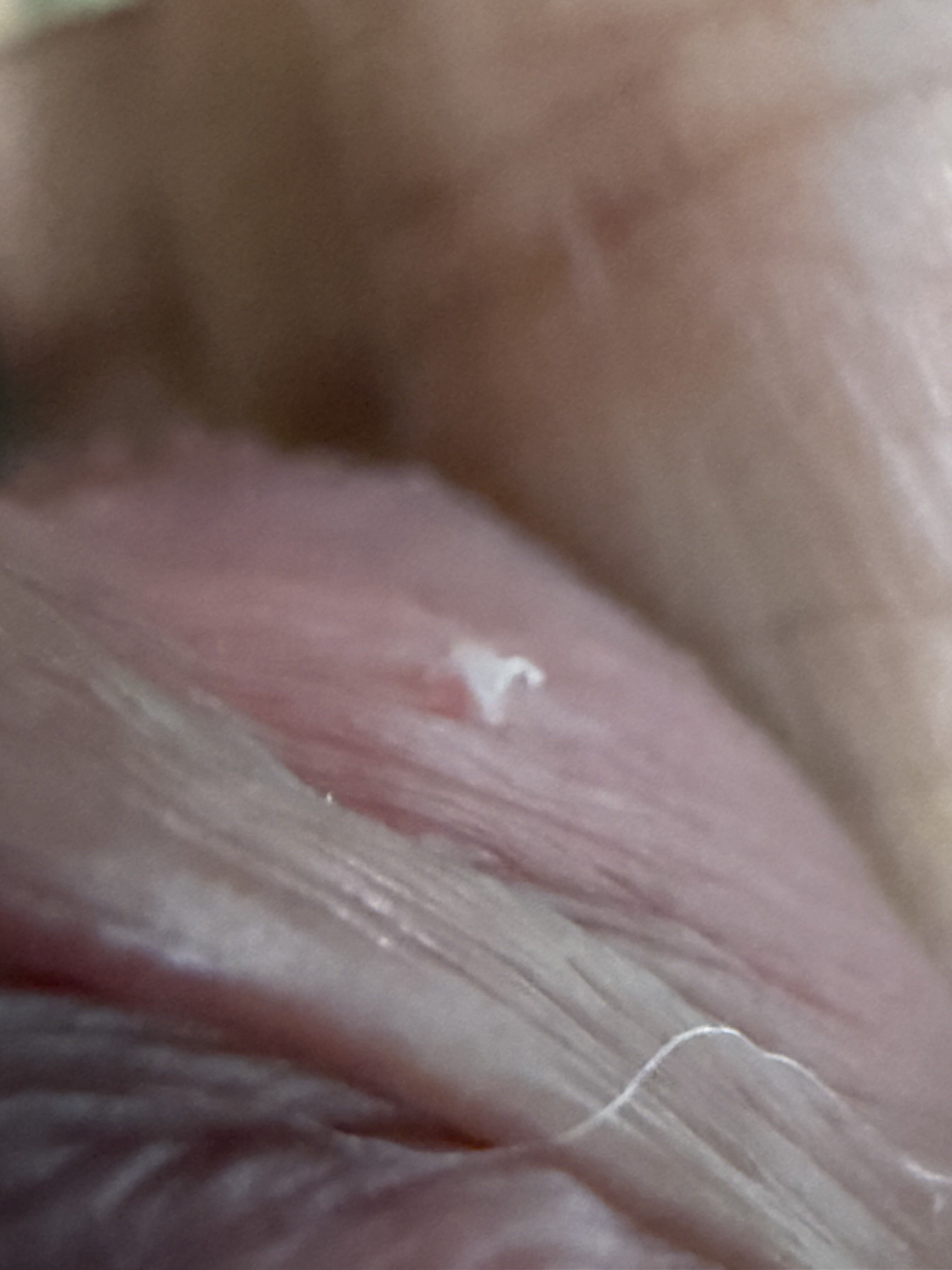 389363-d58a5f7d44ad.jpeg