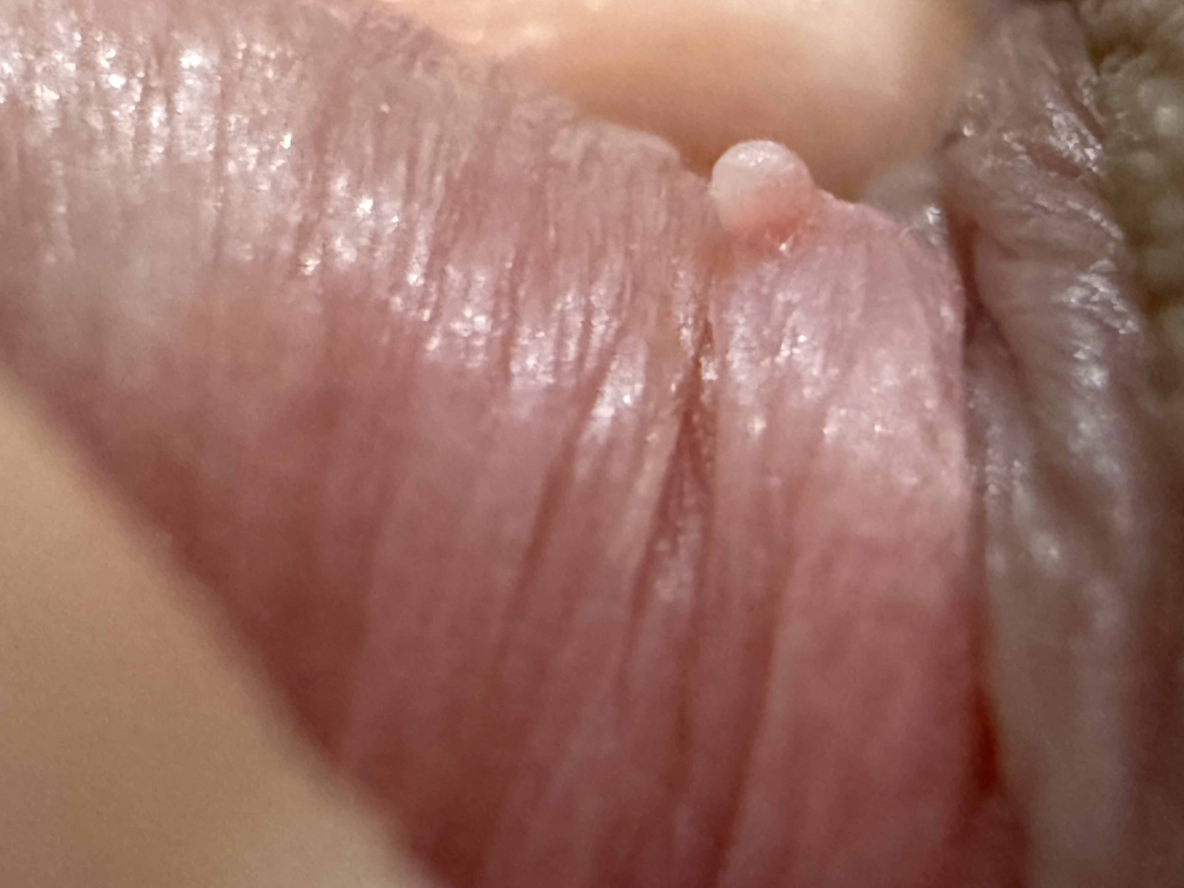 389431-6631a2ebc4b5.jpeg