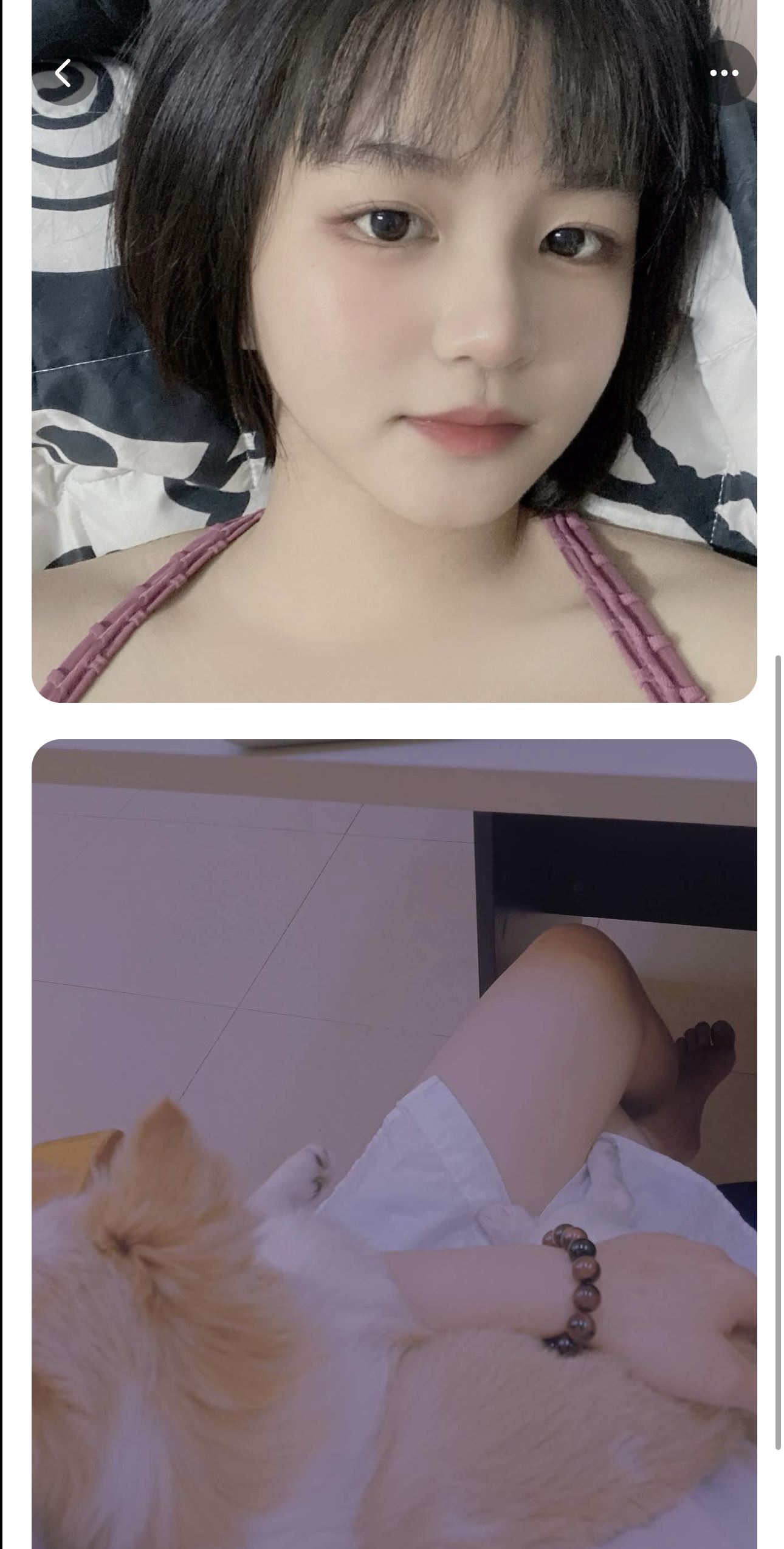 389603-e9e469216399.jpeg