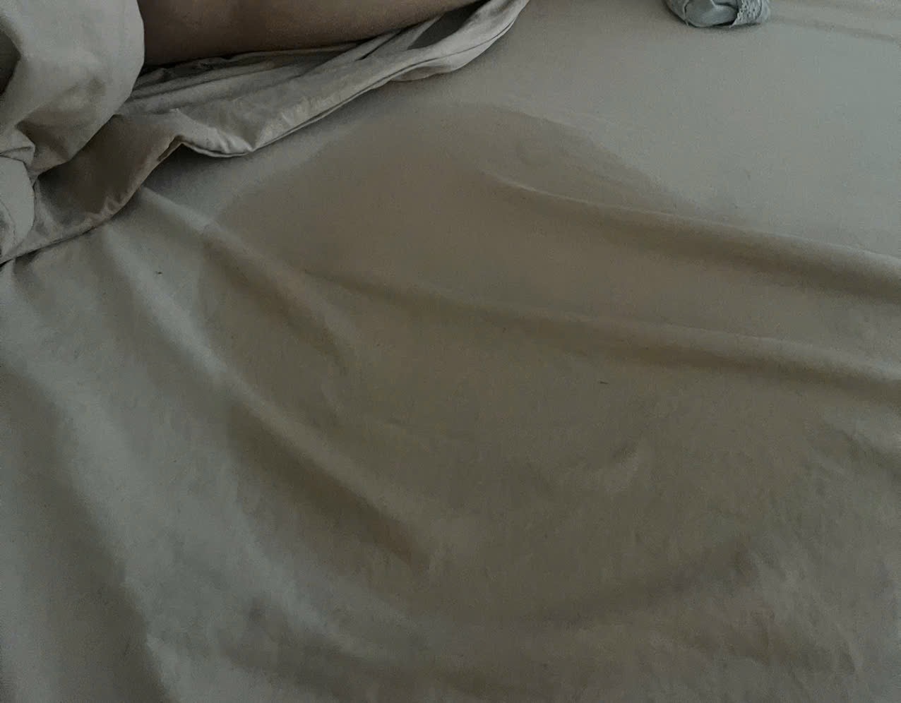 390339-645ad6d5149c.jpeg