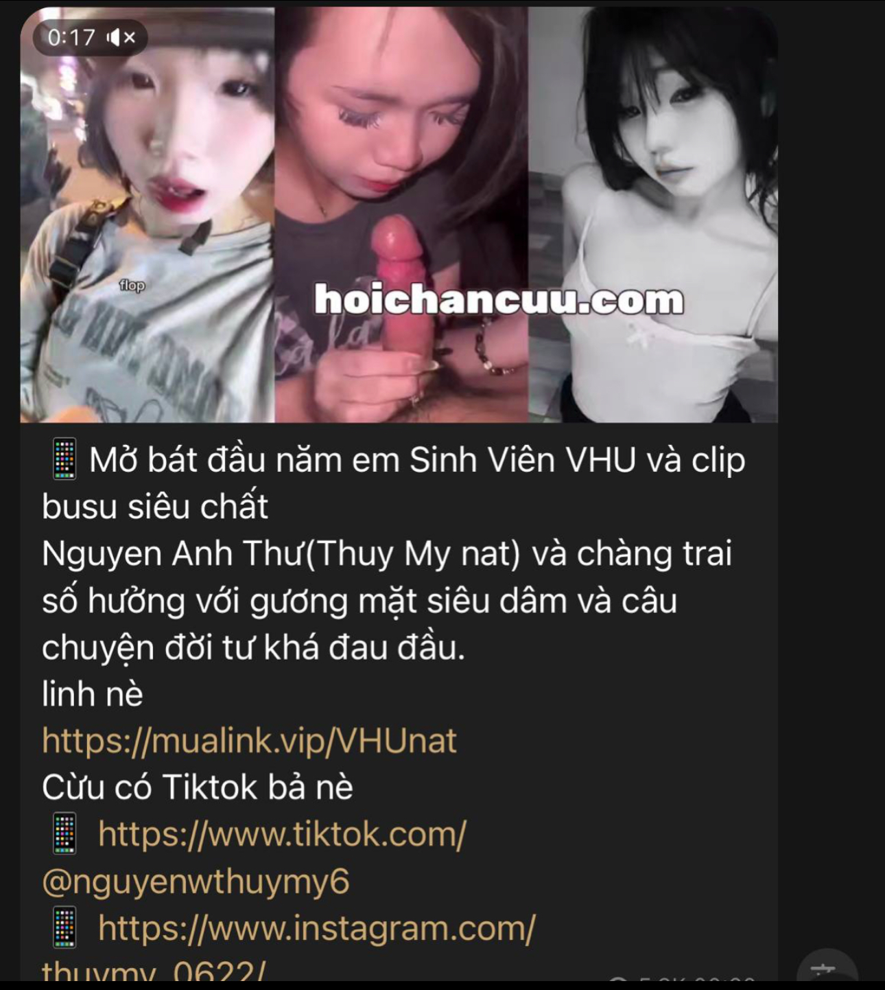 393058-25df3bfbabe6.jpeg