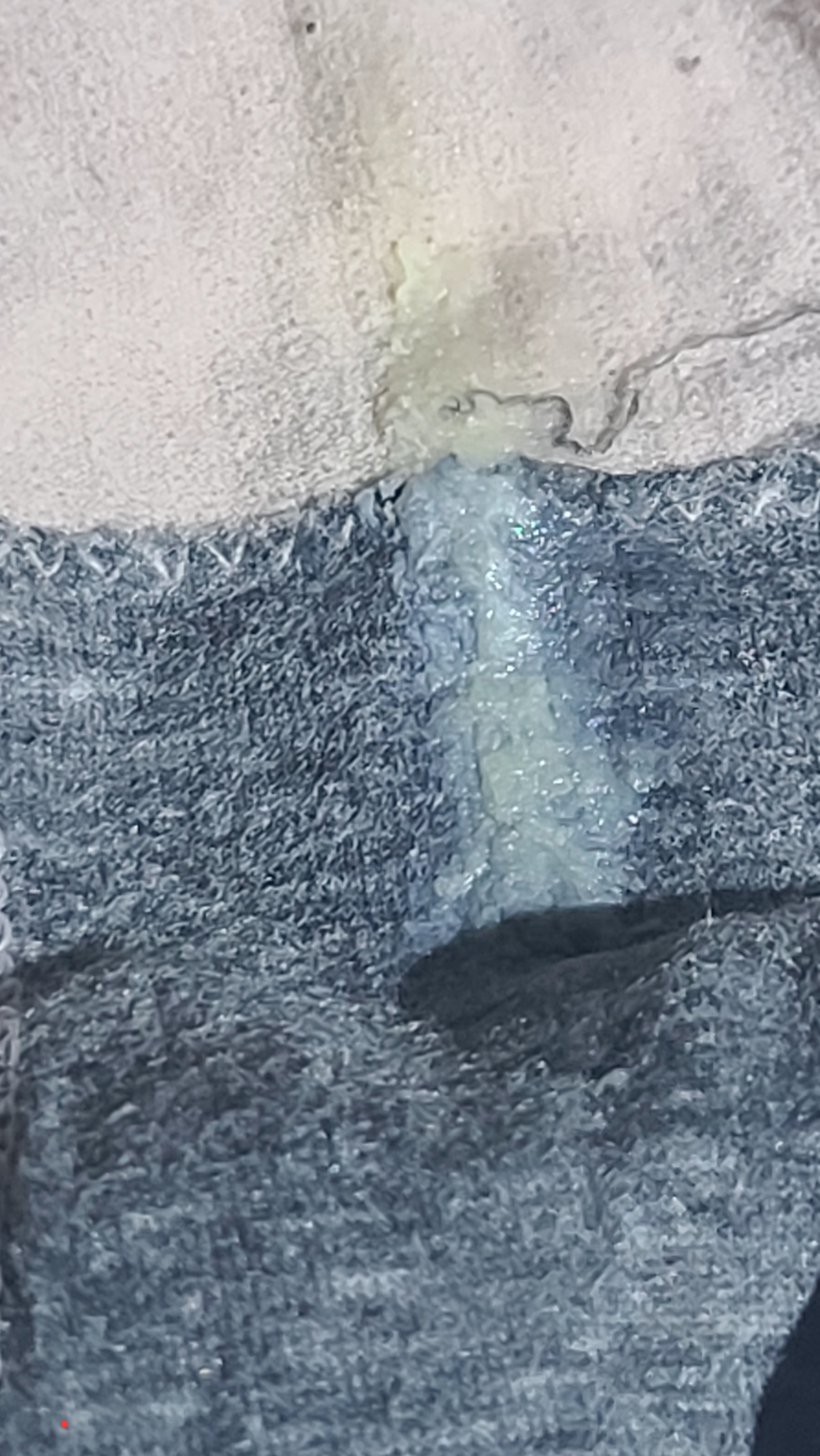 394787-ca008257f61d.jpg