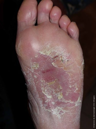 395408-774373e5be47.jpg