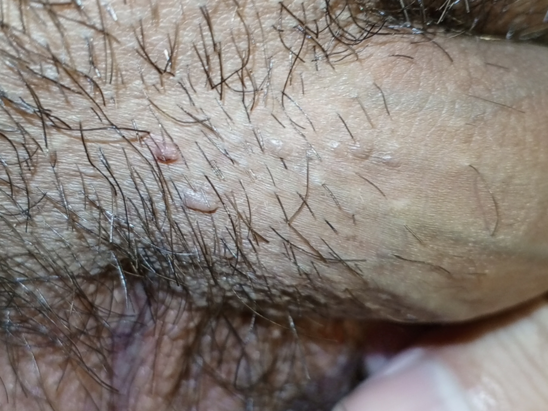 395506-b060cfe35acd.jpg