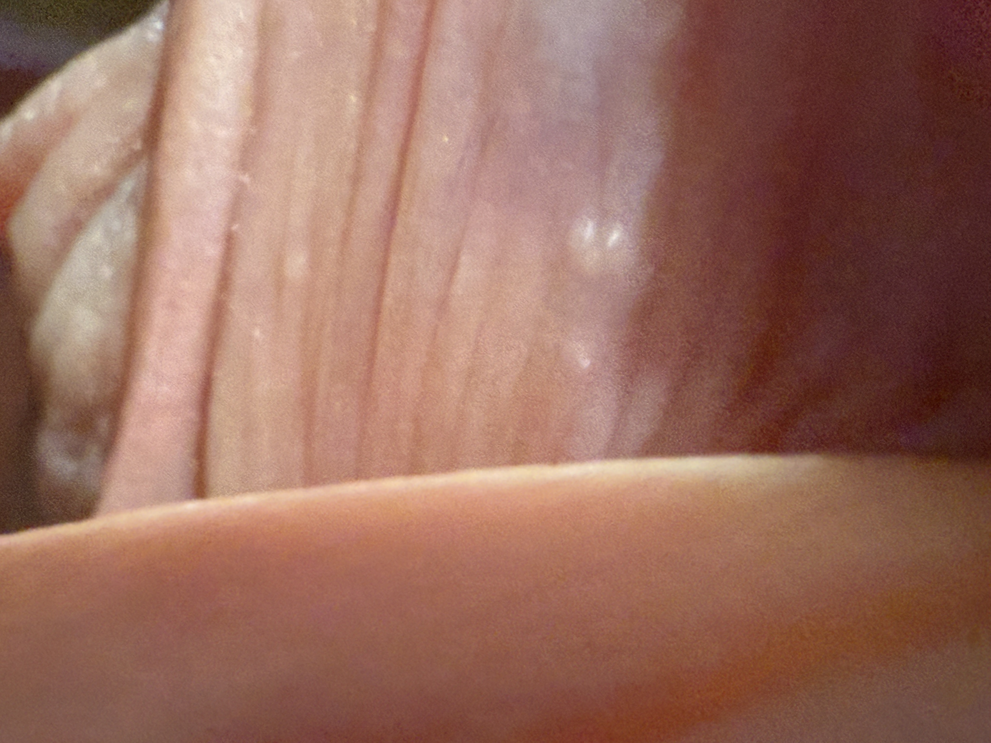 396109-488926b81164.jpeg