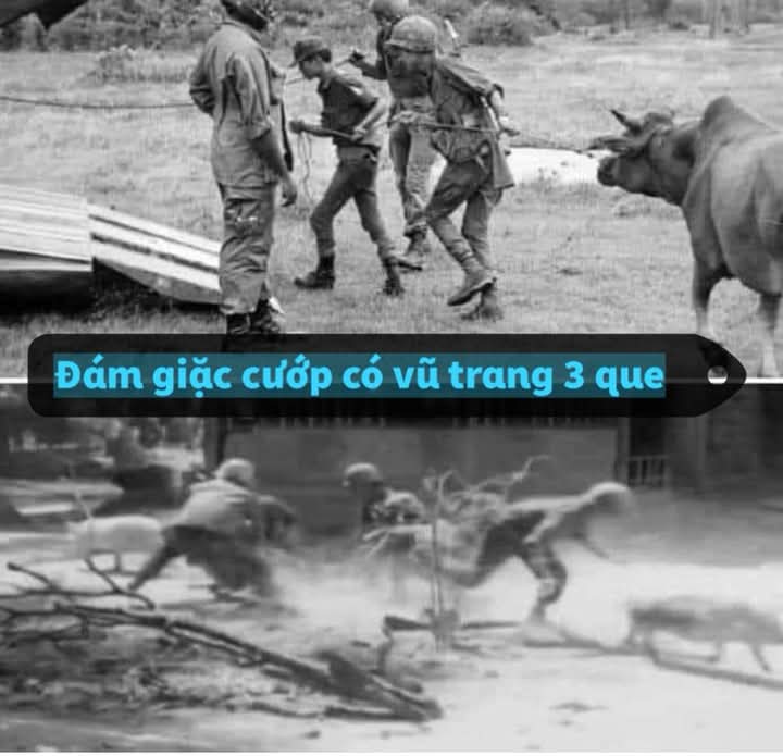 396988-8f2e21e3fafa.jpg