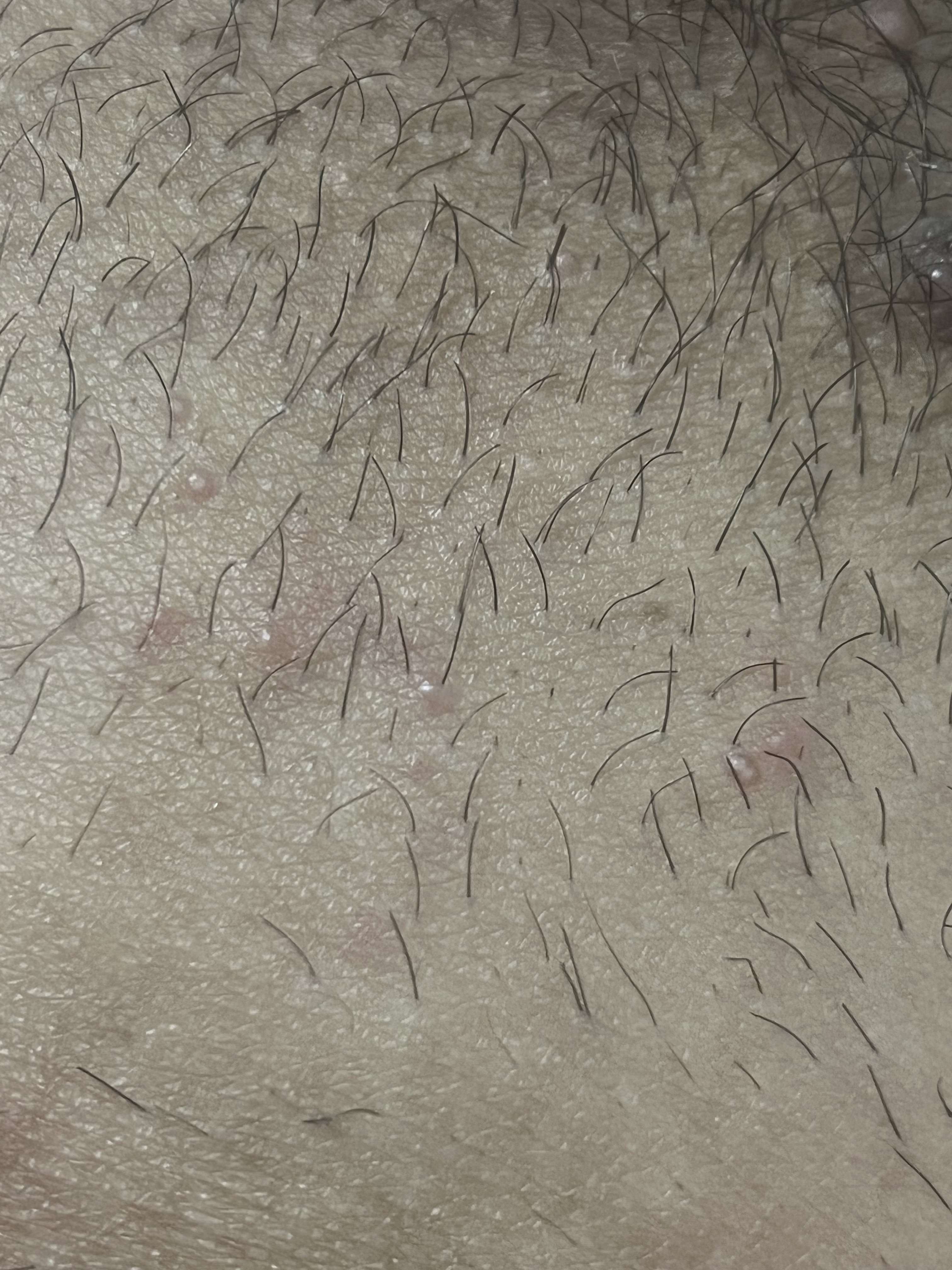 397364-de3cbe3c7001.jpeg