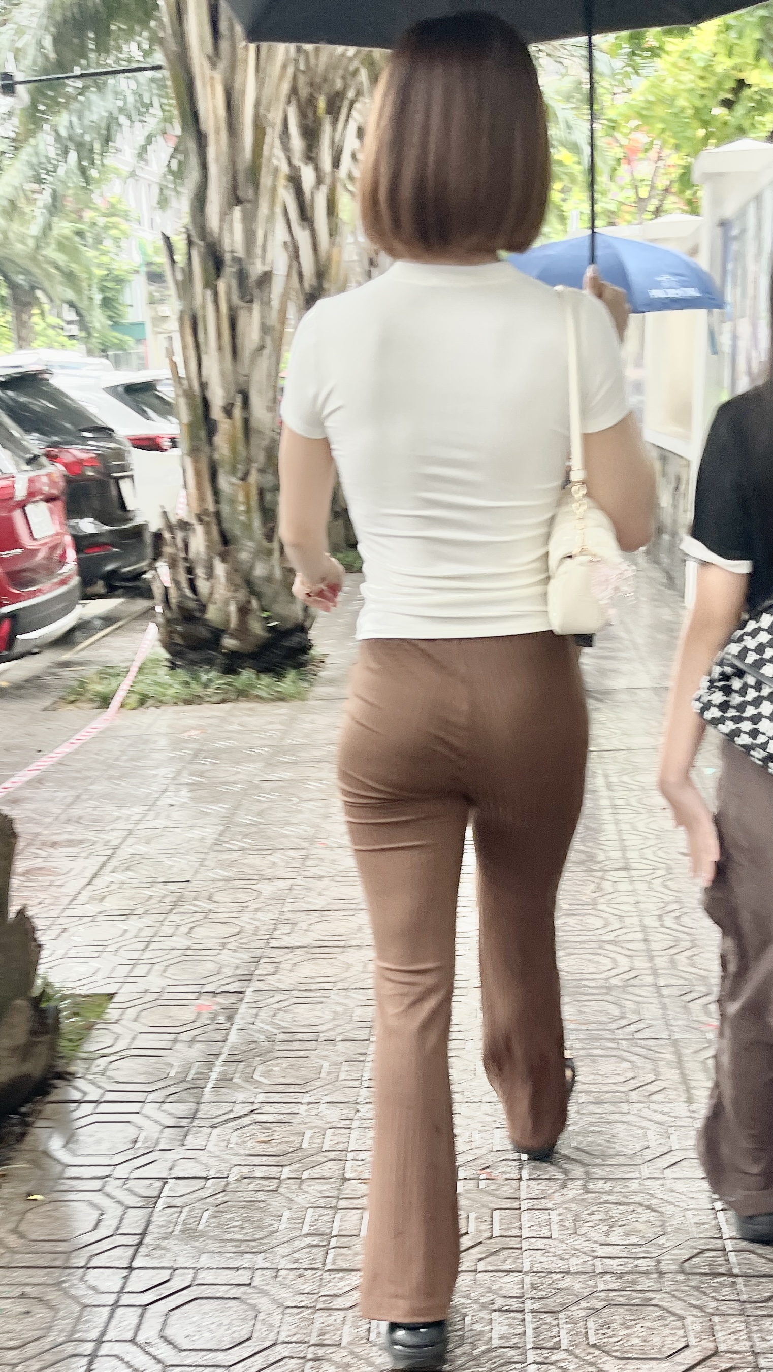398209-882c9ba5cefc.jpeg