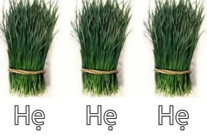 402083-74bce018957f.jpeg