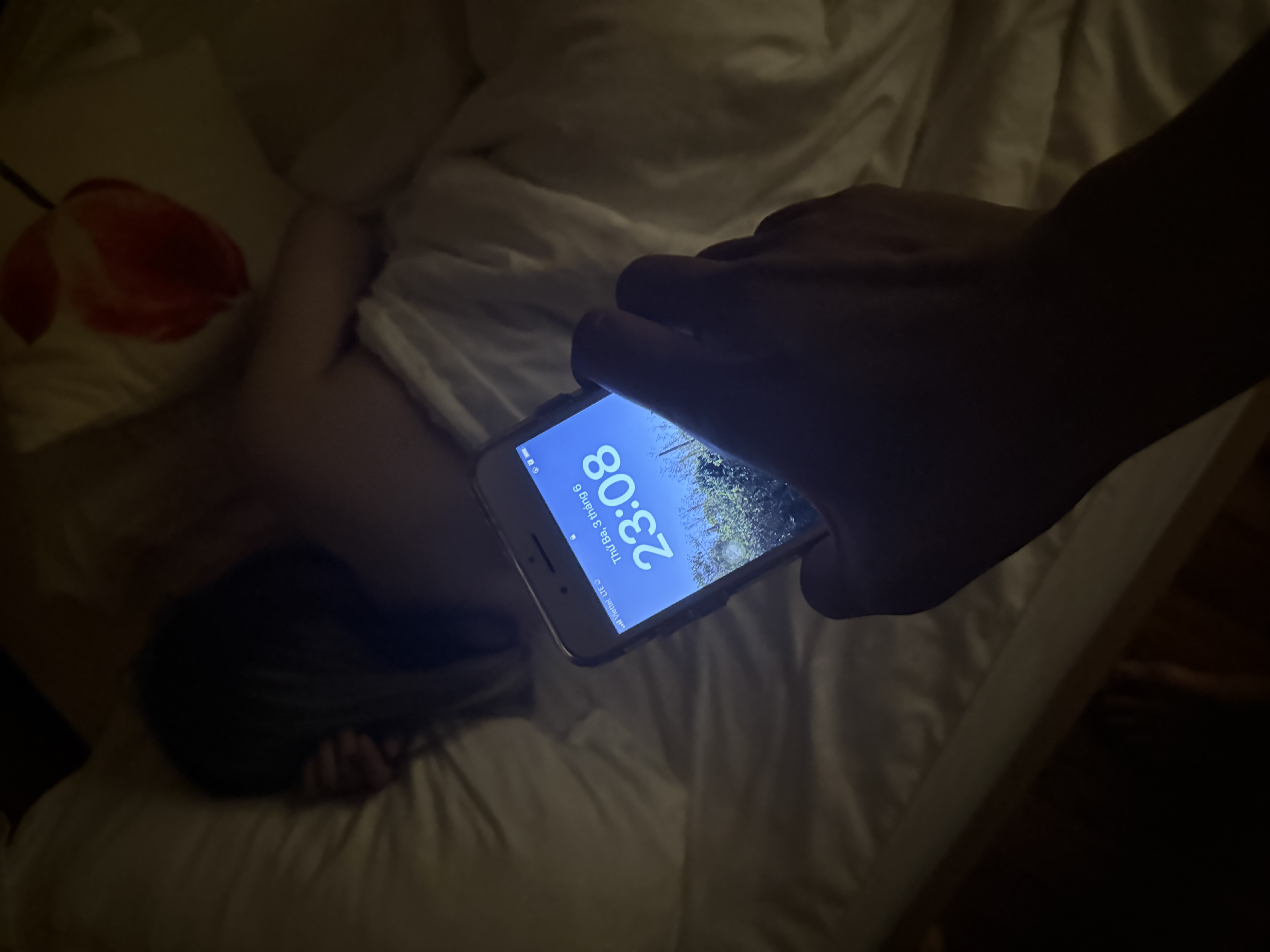 402857-208f1d7156c2.jpeg