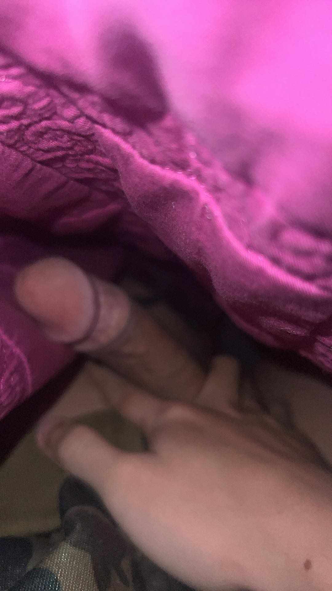 403227-40a500b75ce4.jpeg