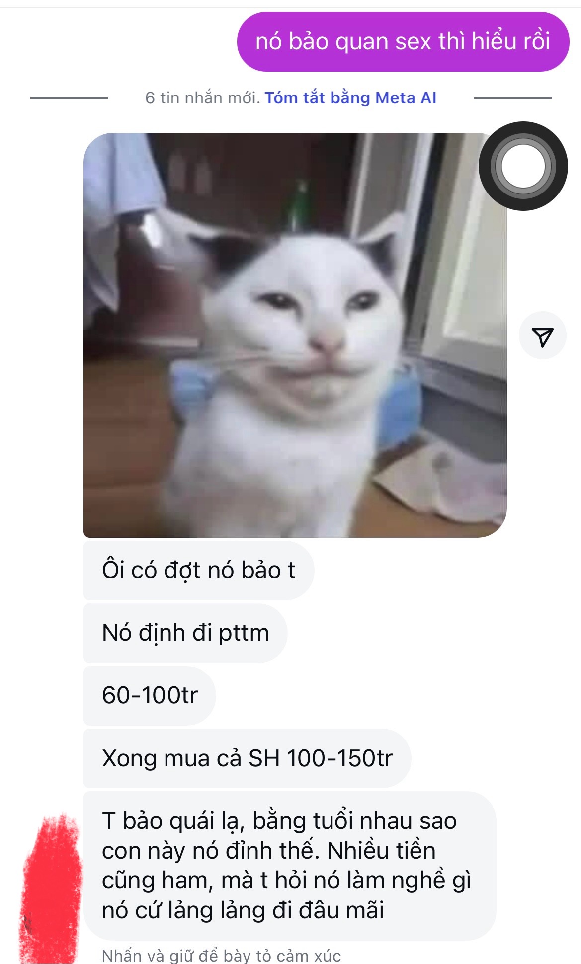 404486-80f29c7519b2.jpeg