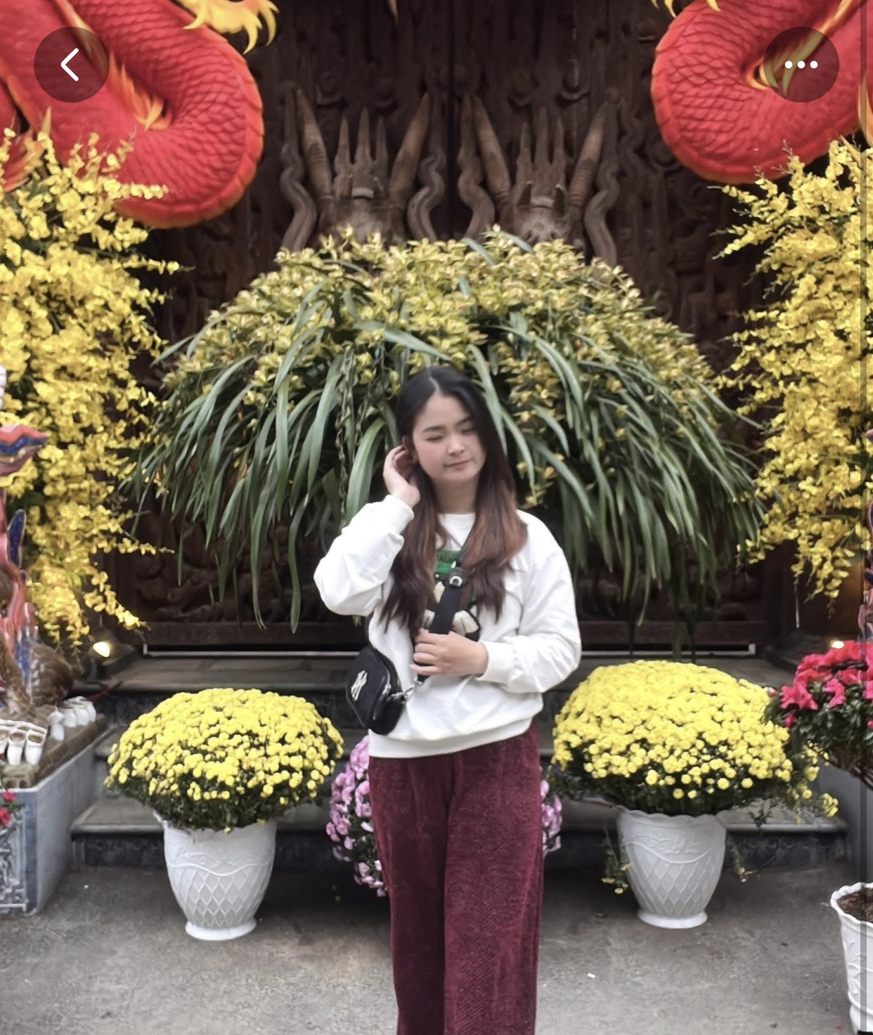 411135-b7add8d4beca.jpeg
