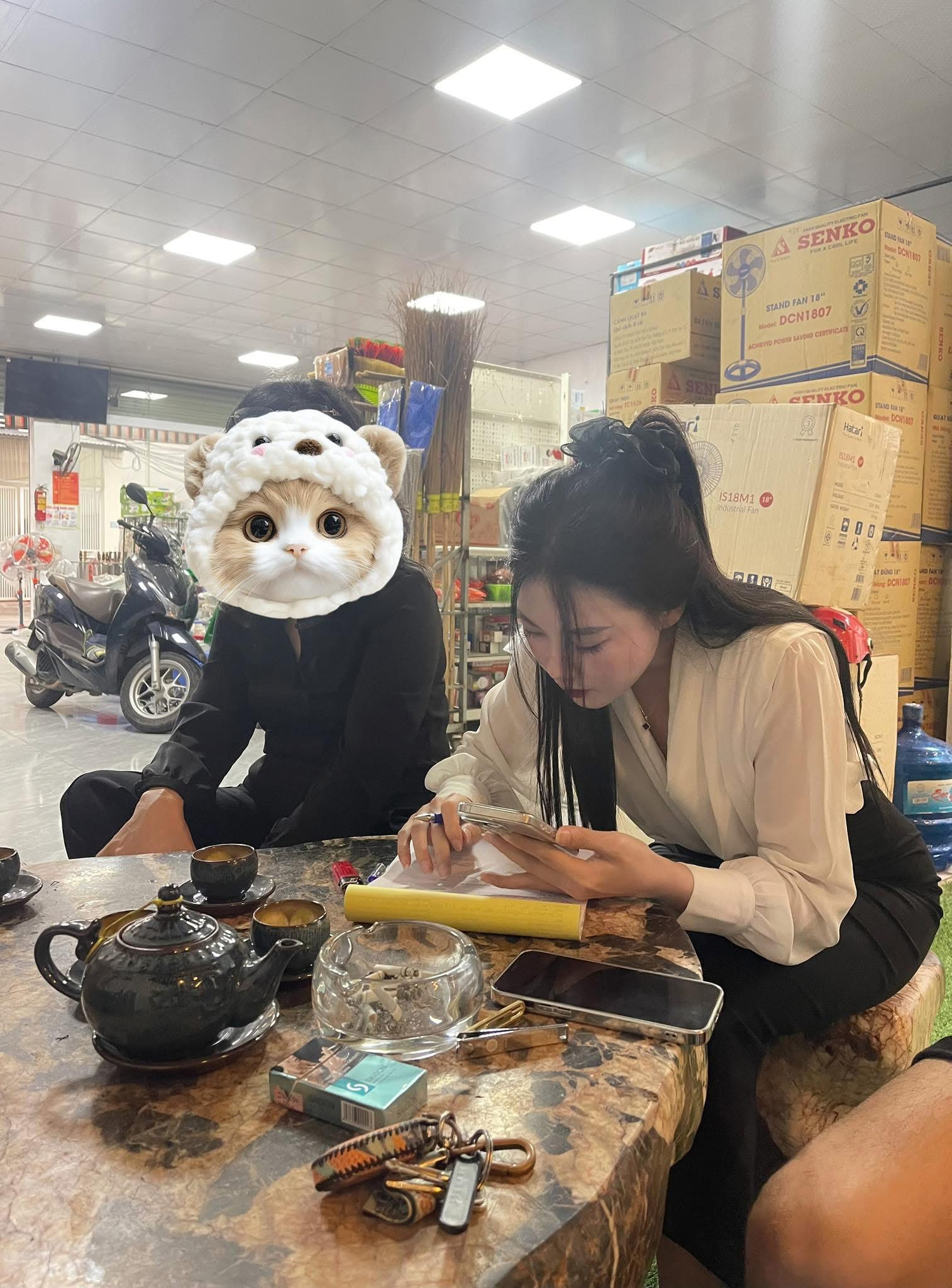 411233-a19916decad8.jpeg