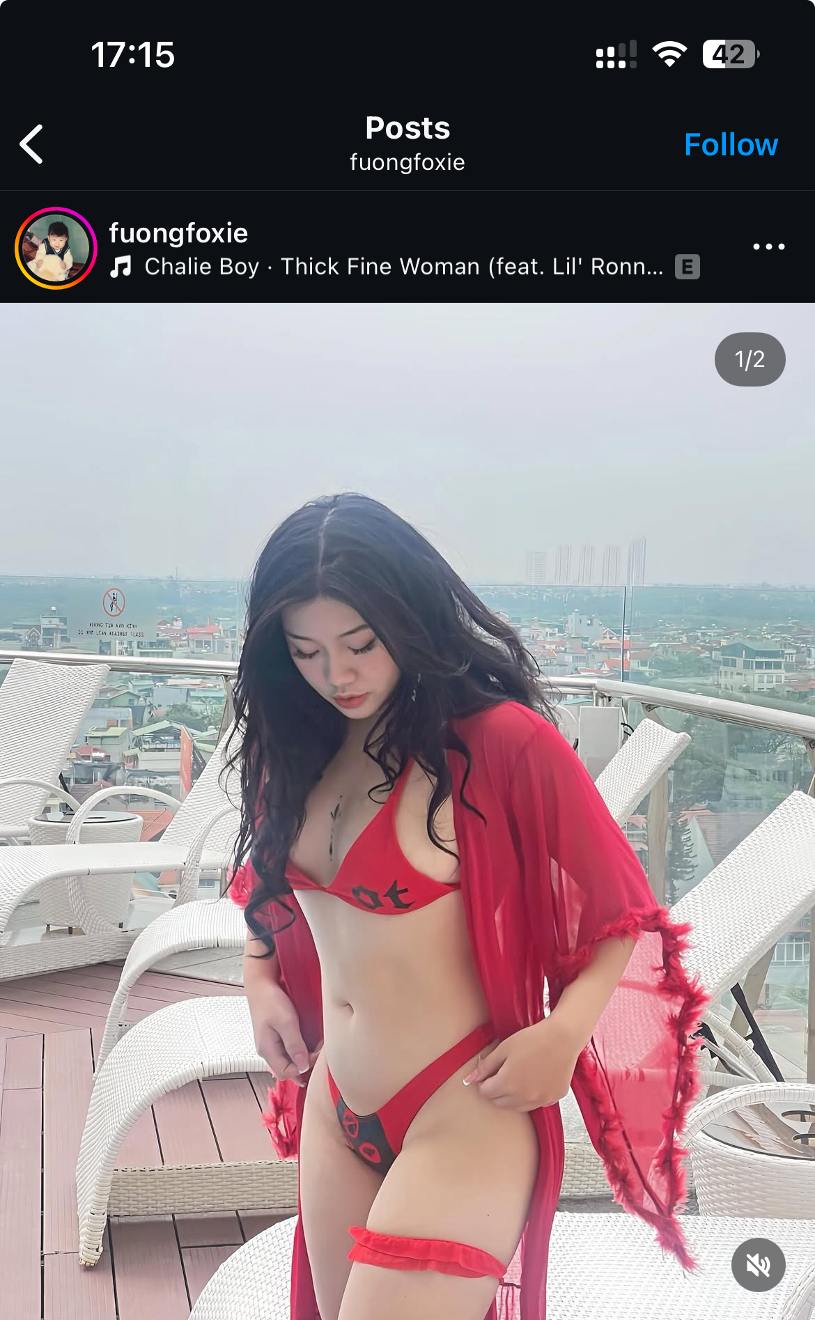 419254-ceead6d1e64f.jpeg