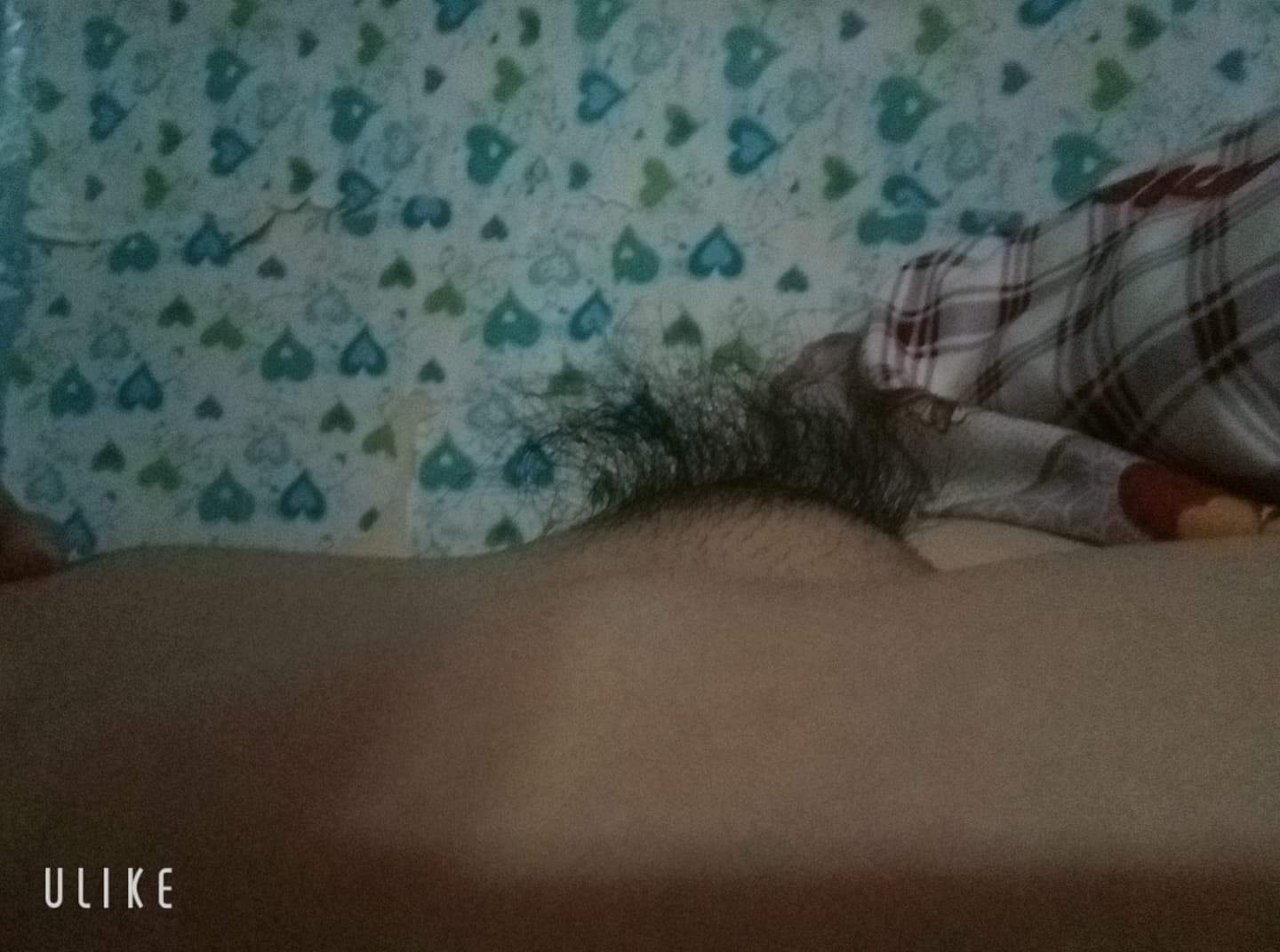 421162-2d79c8beaef7.jpeg