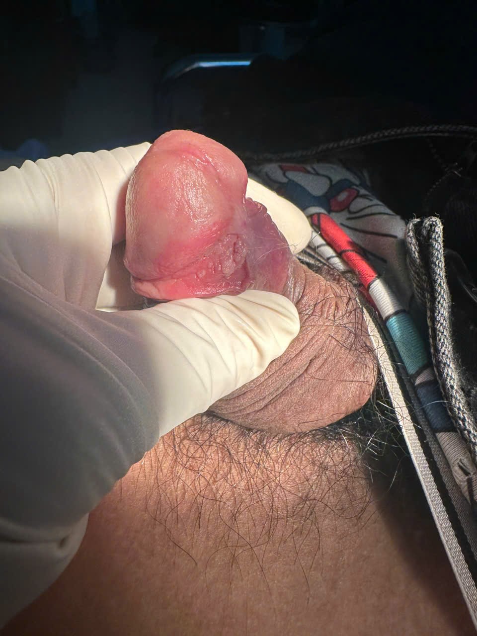 423662-fa22e1e4ef98.jpg
