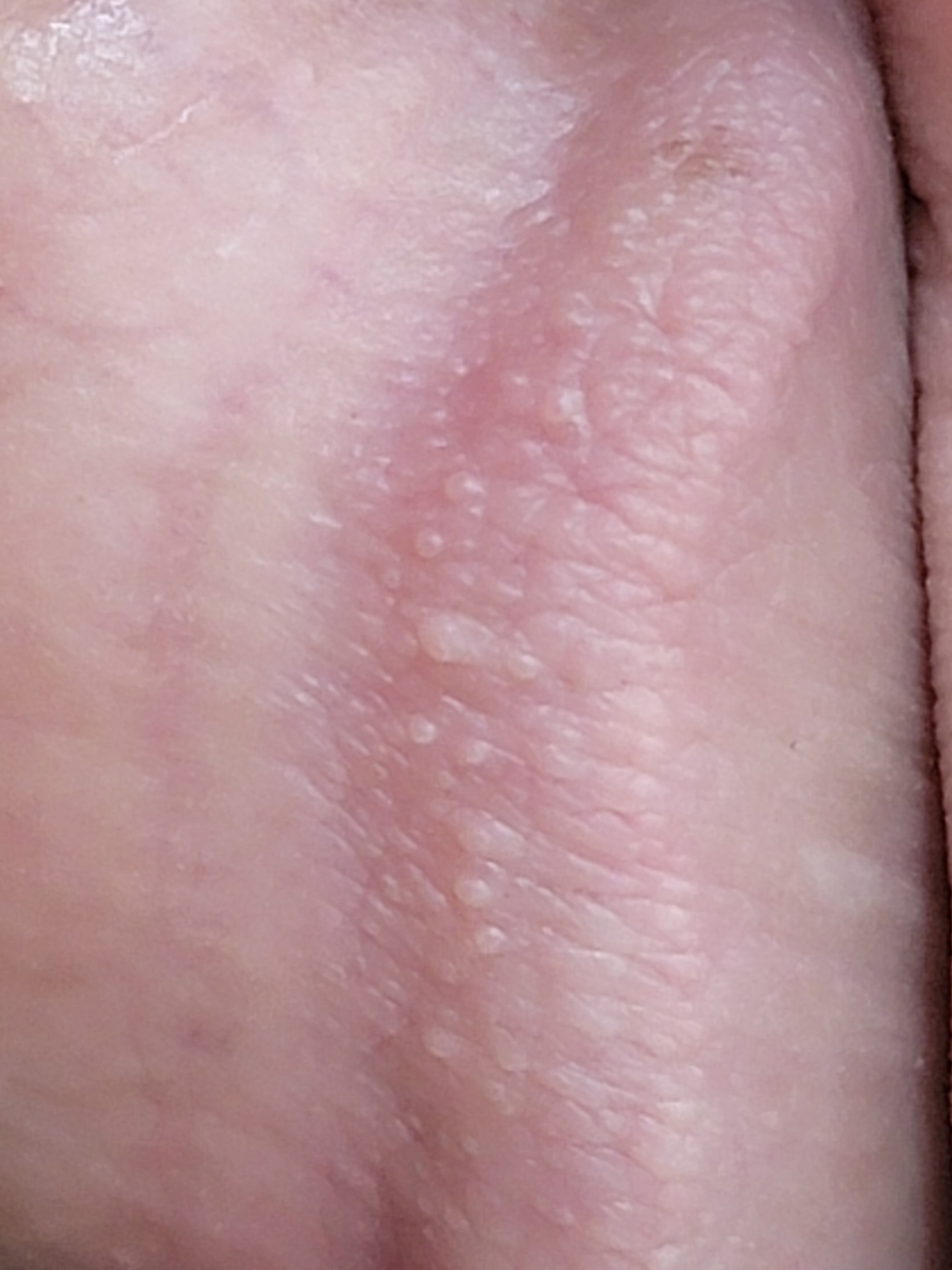 426601-fda657b9f13f.jpg