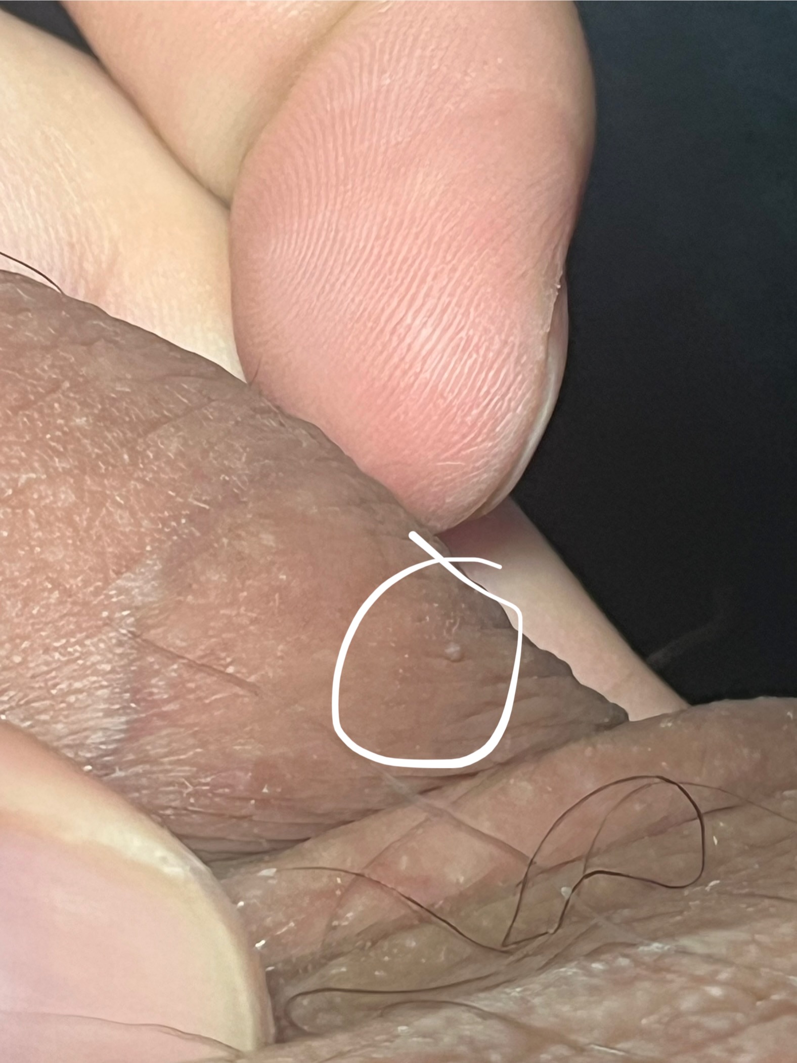 430614-1ef2243ee88e.jpeg