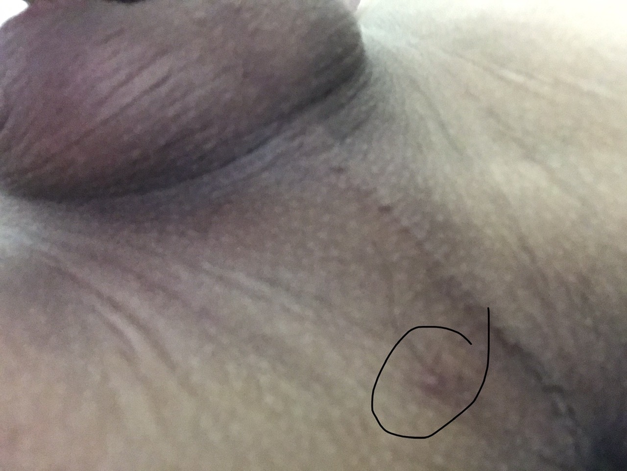 434881-4363359adf06.jpg