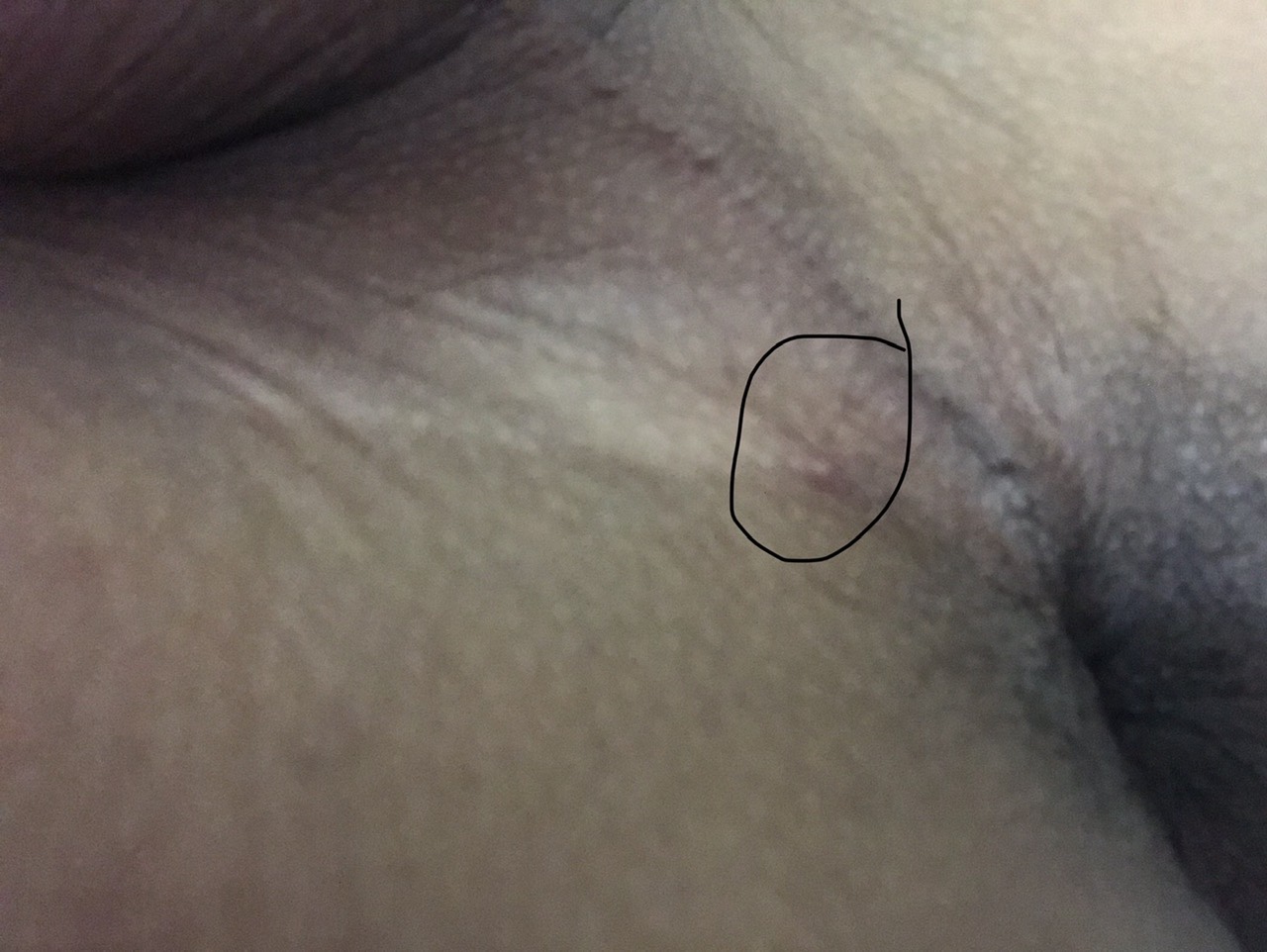 434882-fd57b26dd813.jpg