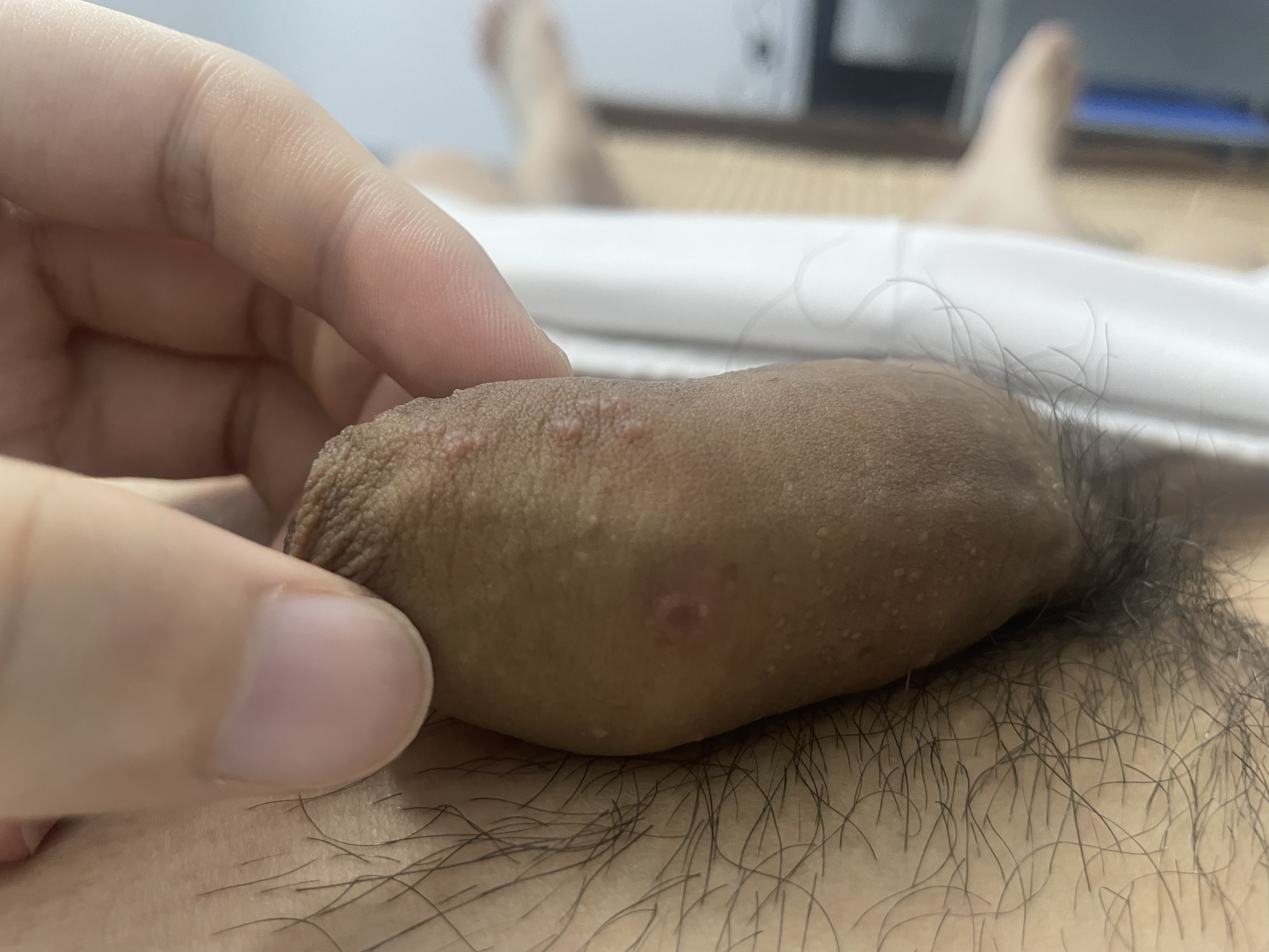 439761-73ffd840c2a8.jpeg