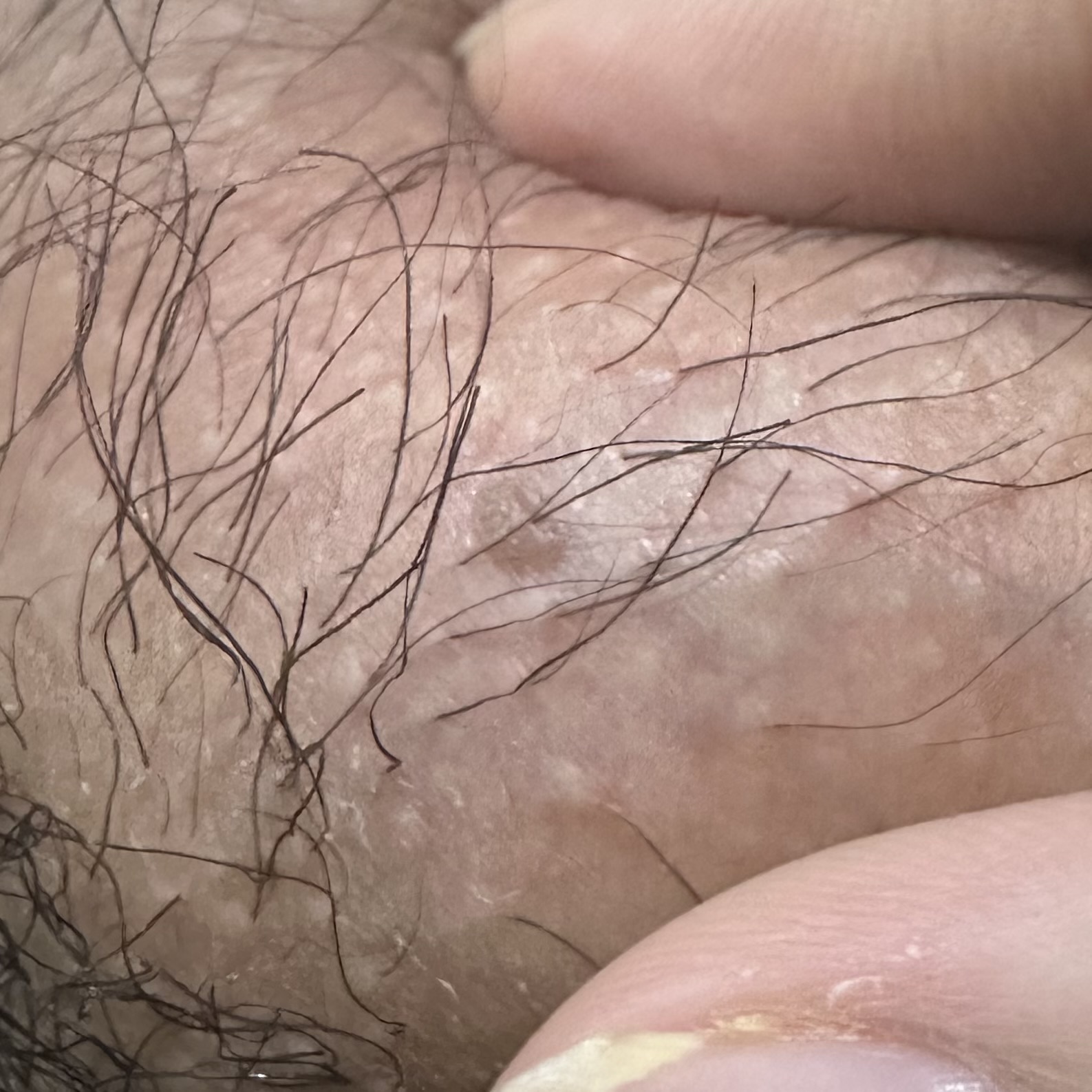 440553-92700d926ee6.jpeg